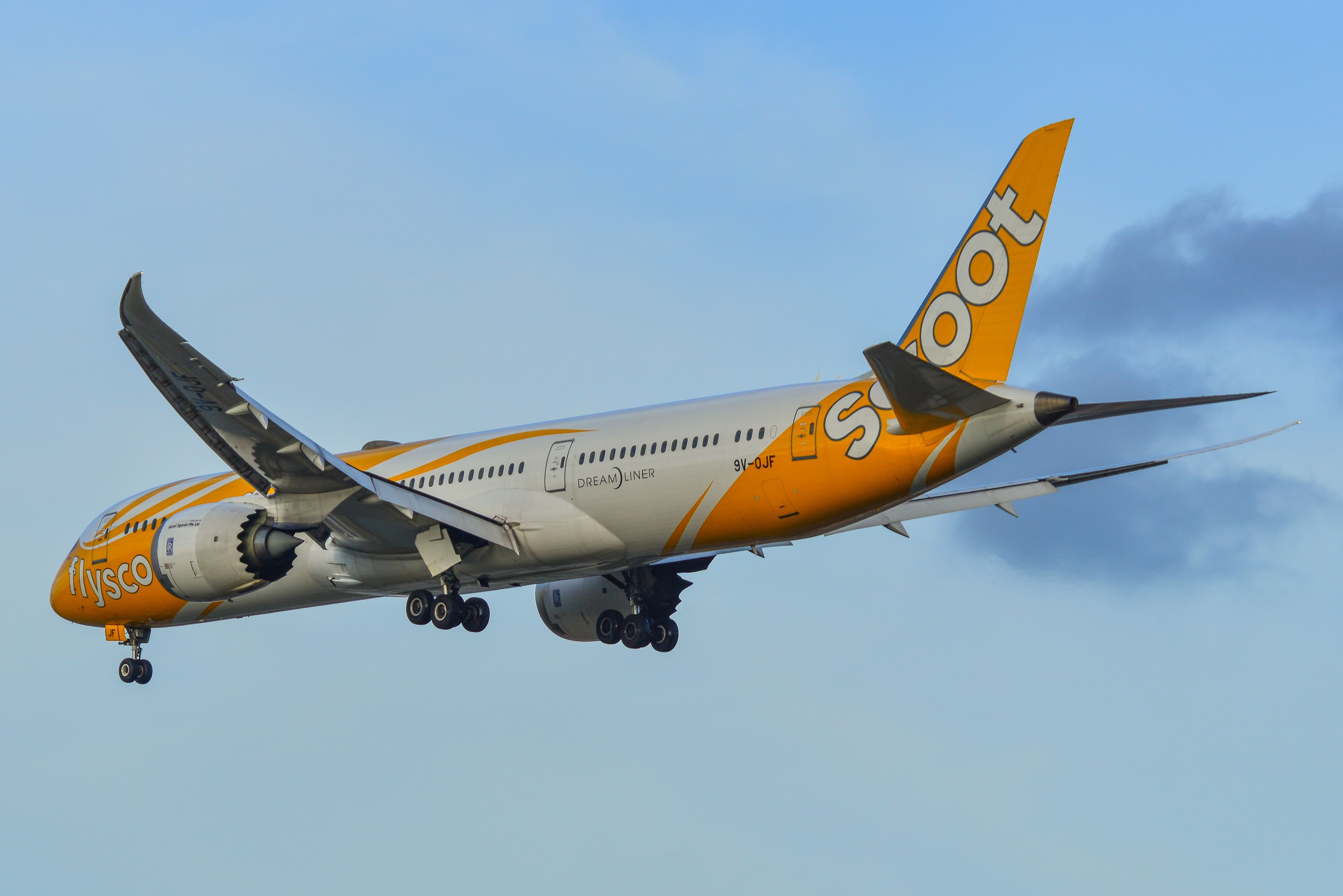 PPC Holland｜FLY Scootスクート航空｜B787-9｜1:250 PPC Holland｜FLY Scootスクート航空｜B787-9｜1:250