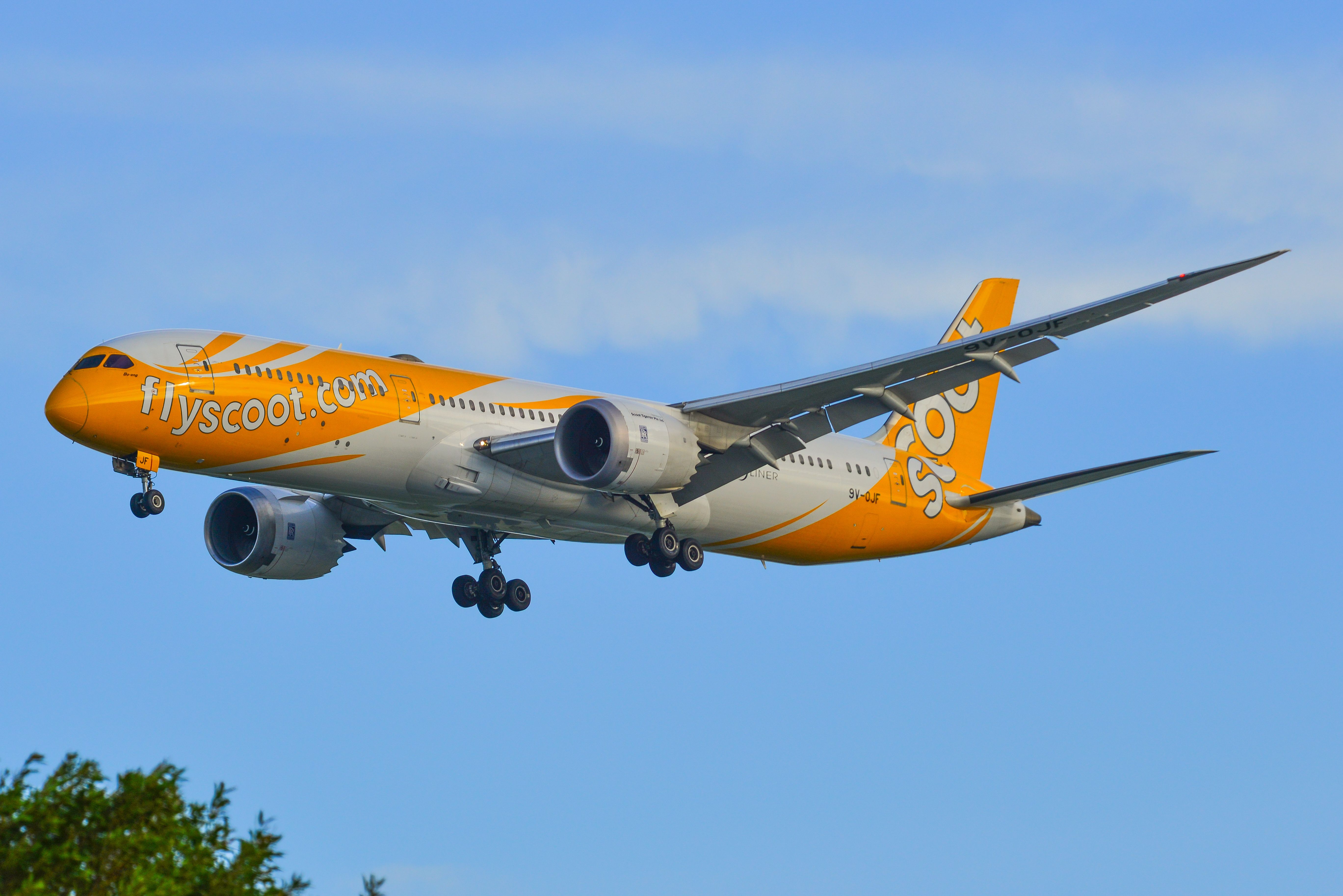 A Scoot Boeing 787-9 Dreamliner flying in the sky.