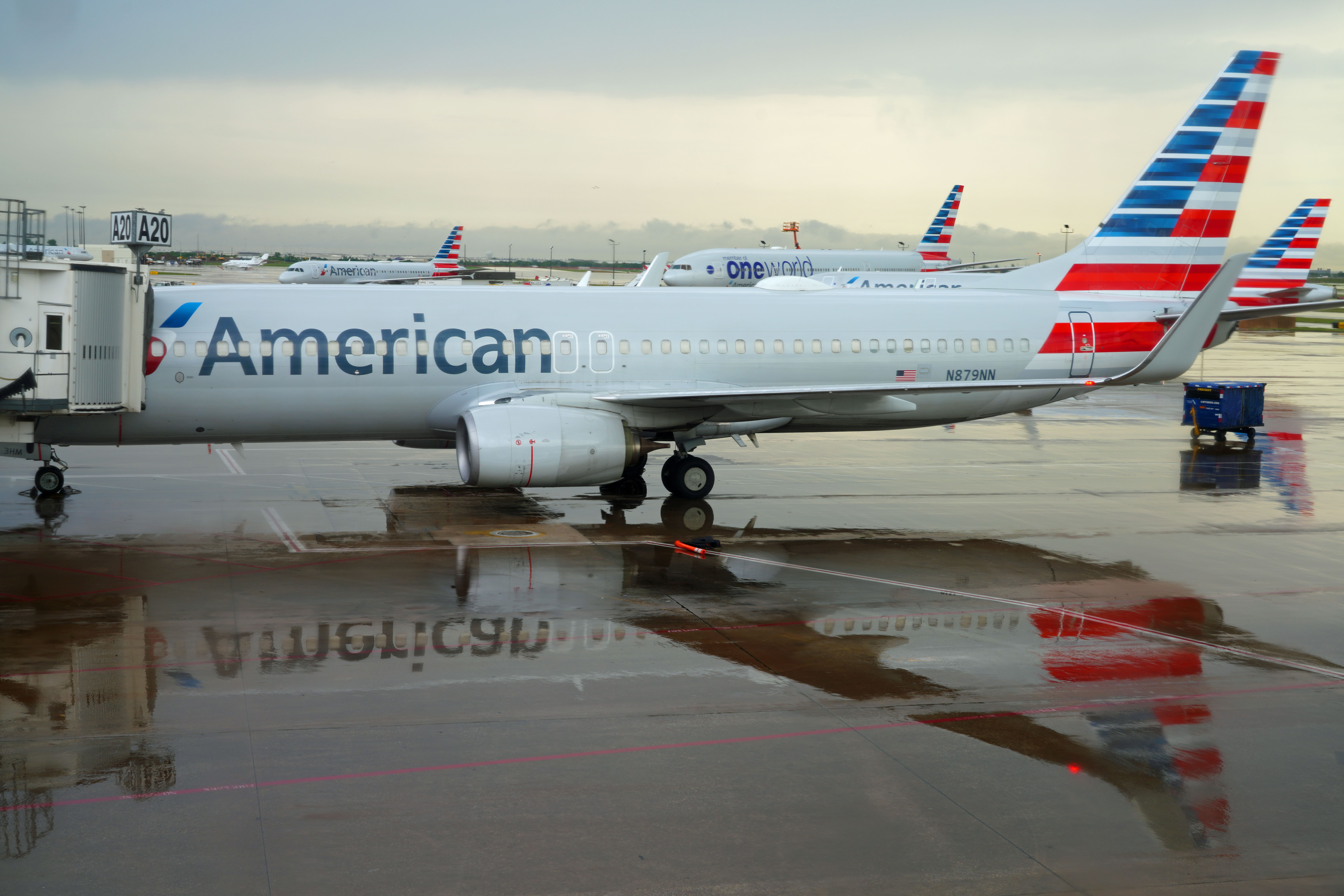 American Airlines Boeing 737-823 at Dallas/Fort Worth International Airport on a rainy day. 