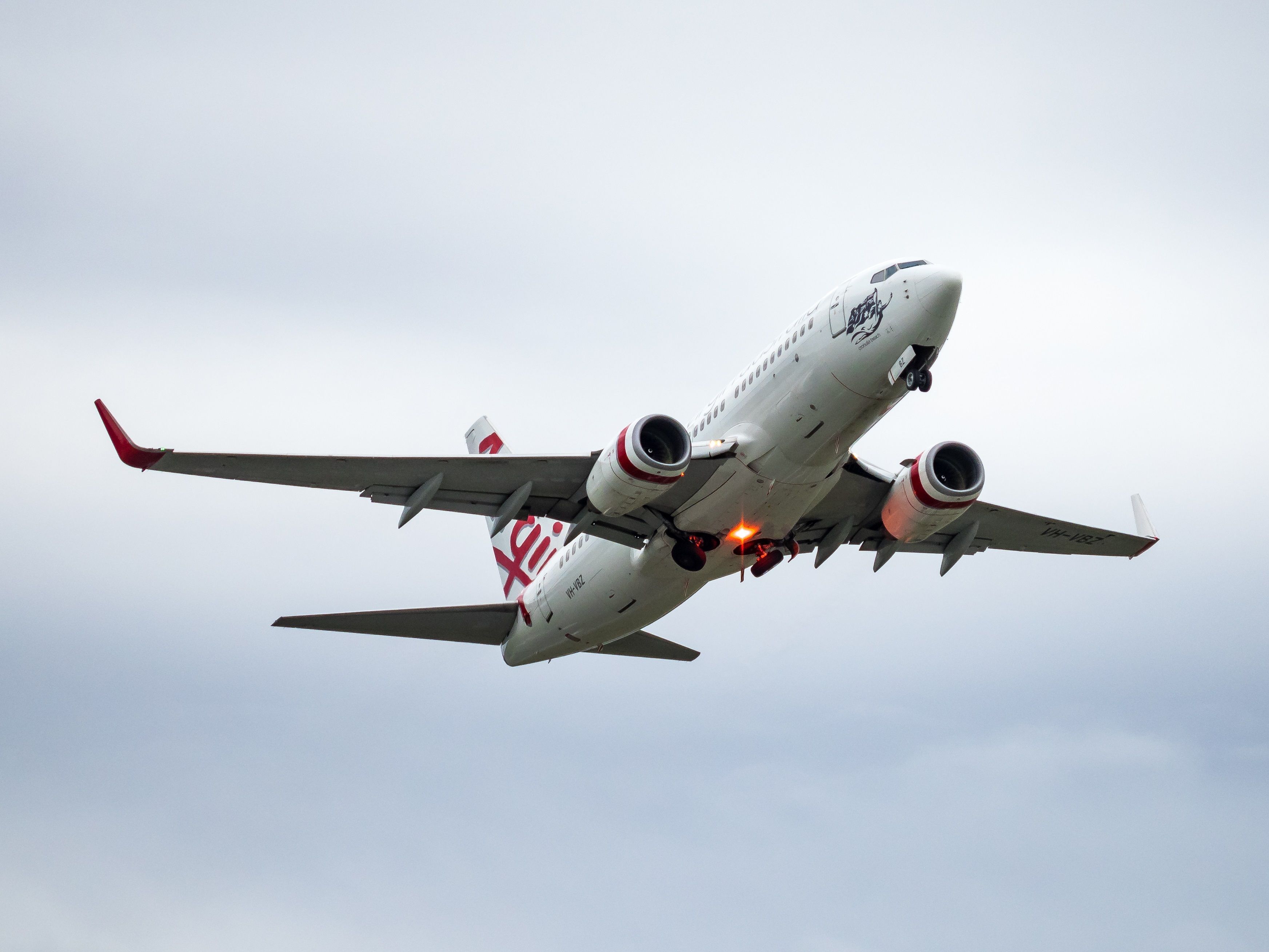 Nearly 8 Hours On A Boeing 737: Virgin Australia's New Japanese Route
