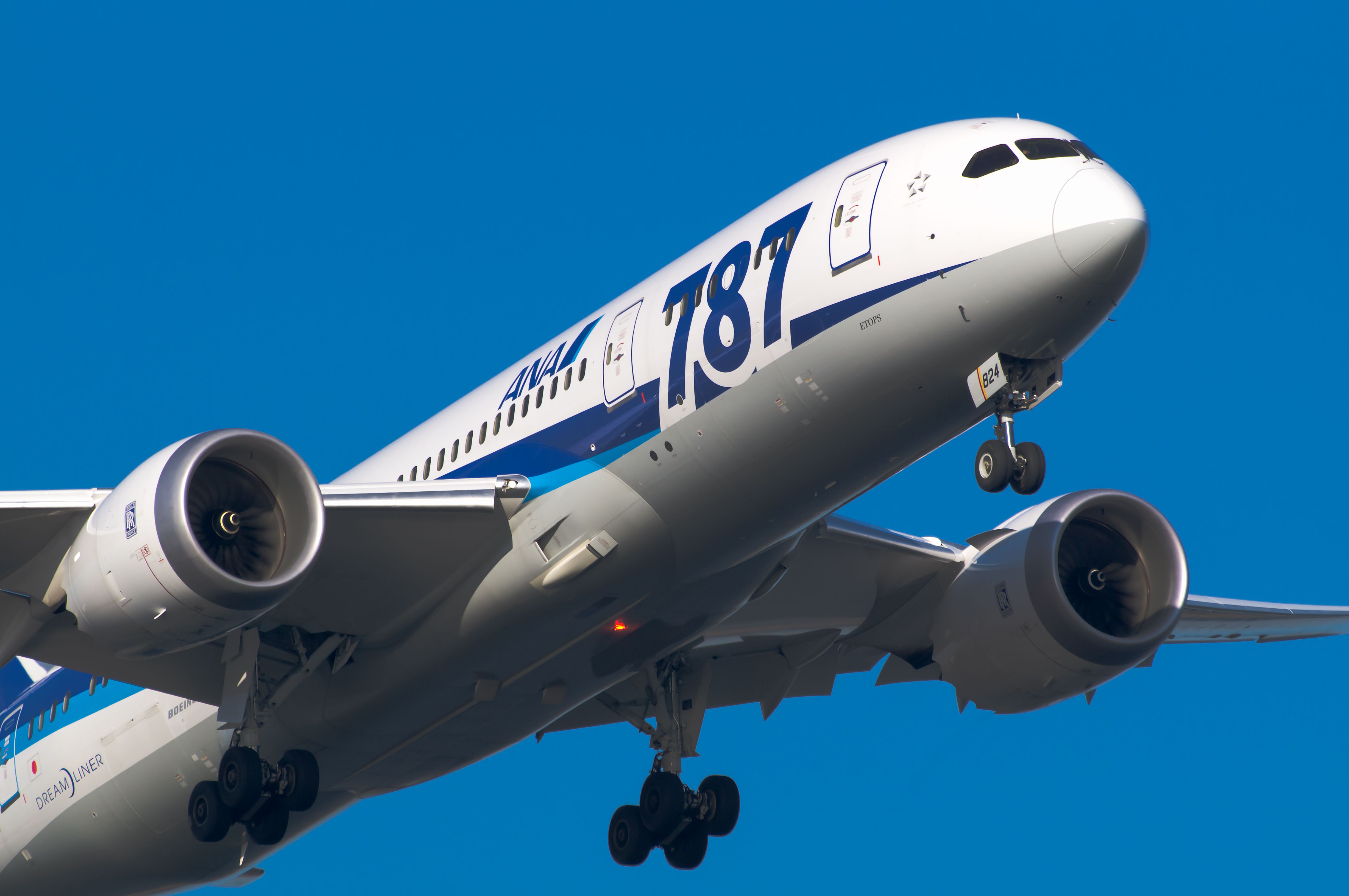 An ANA Boeing 787-8 coming in for landing.