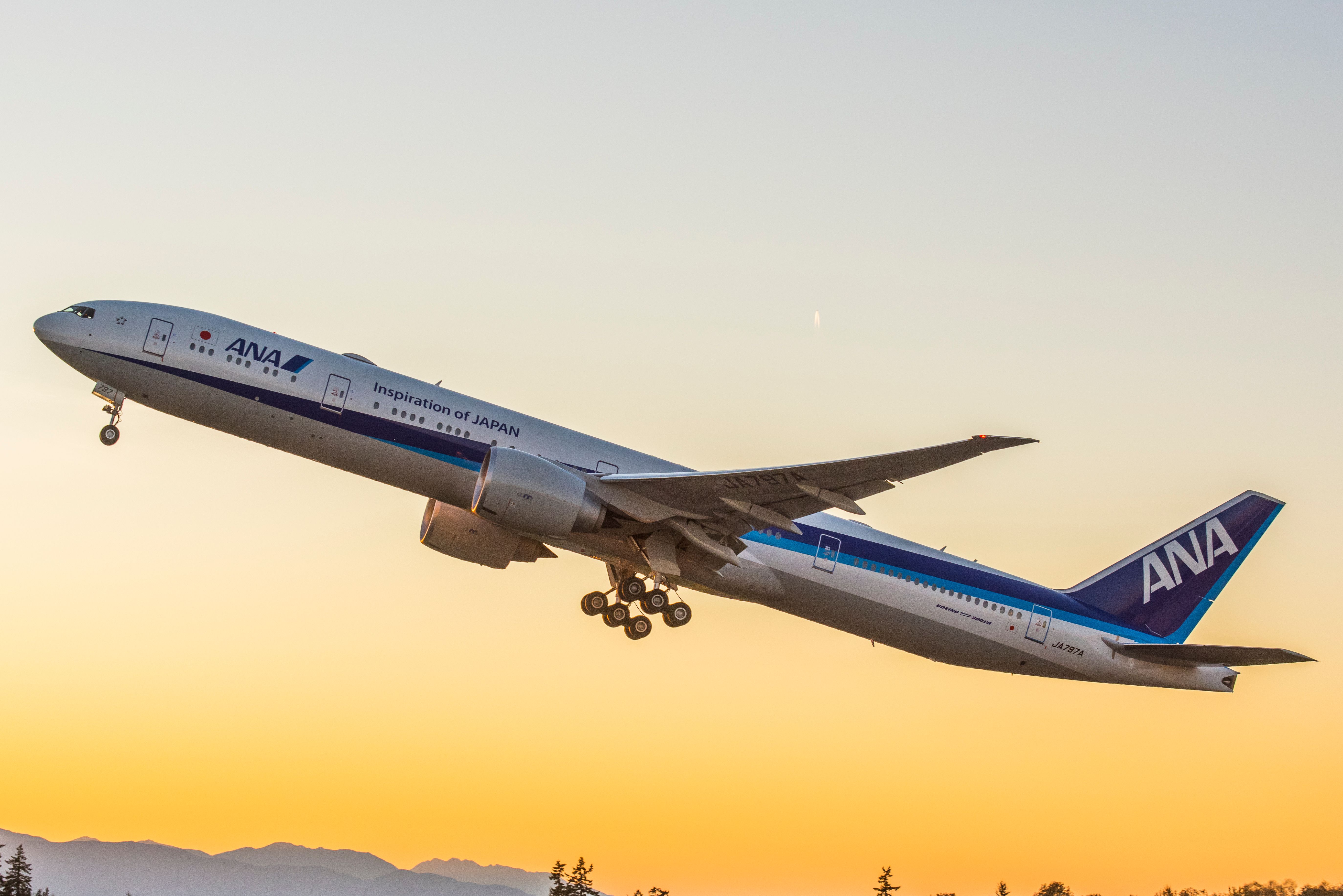 An ANA aircraft just after takeoff during sunset.