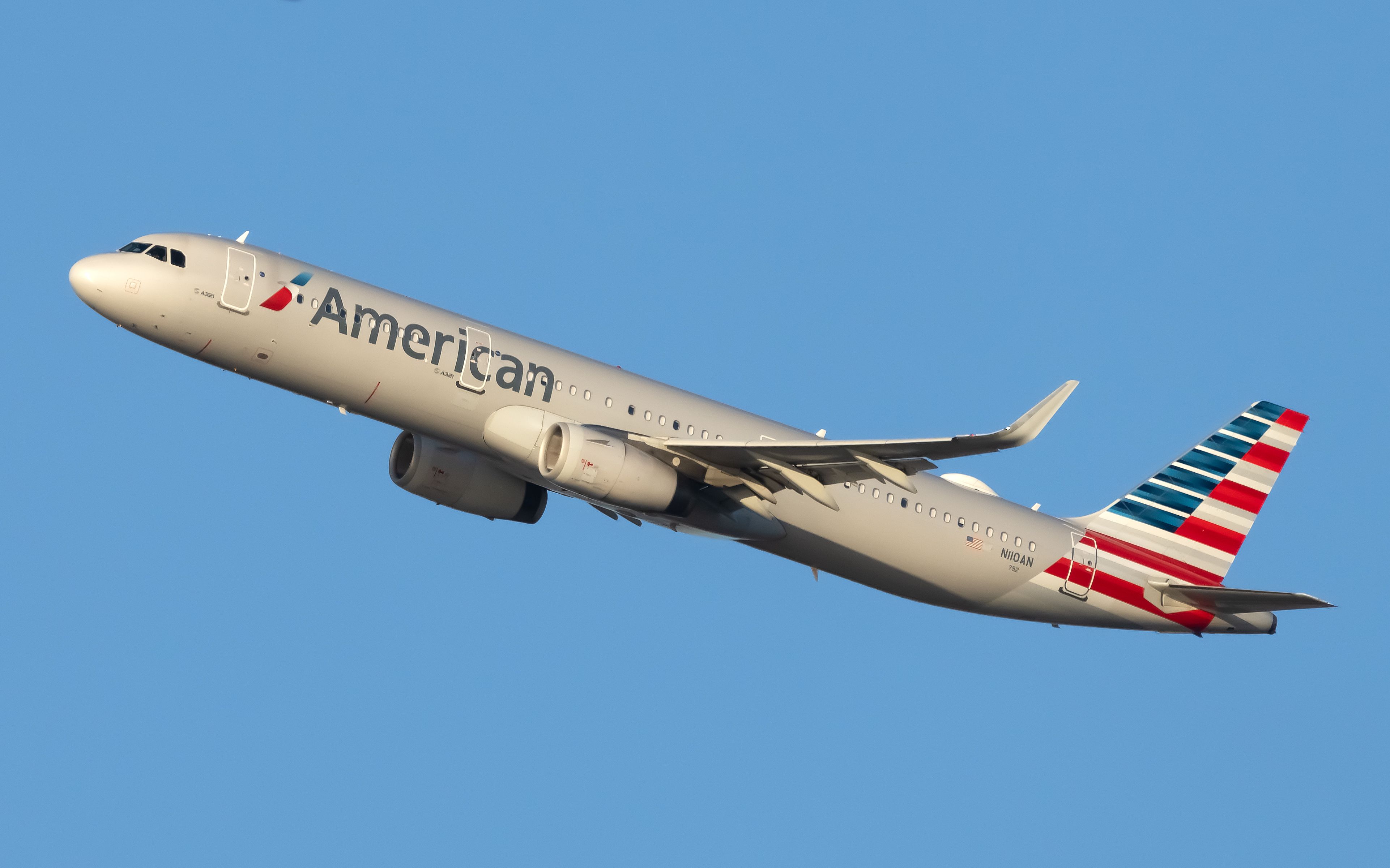 American airlines dog policy in outlet cabin