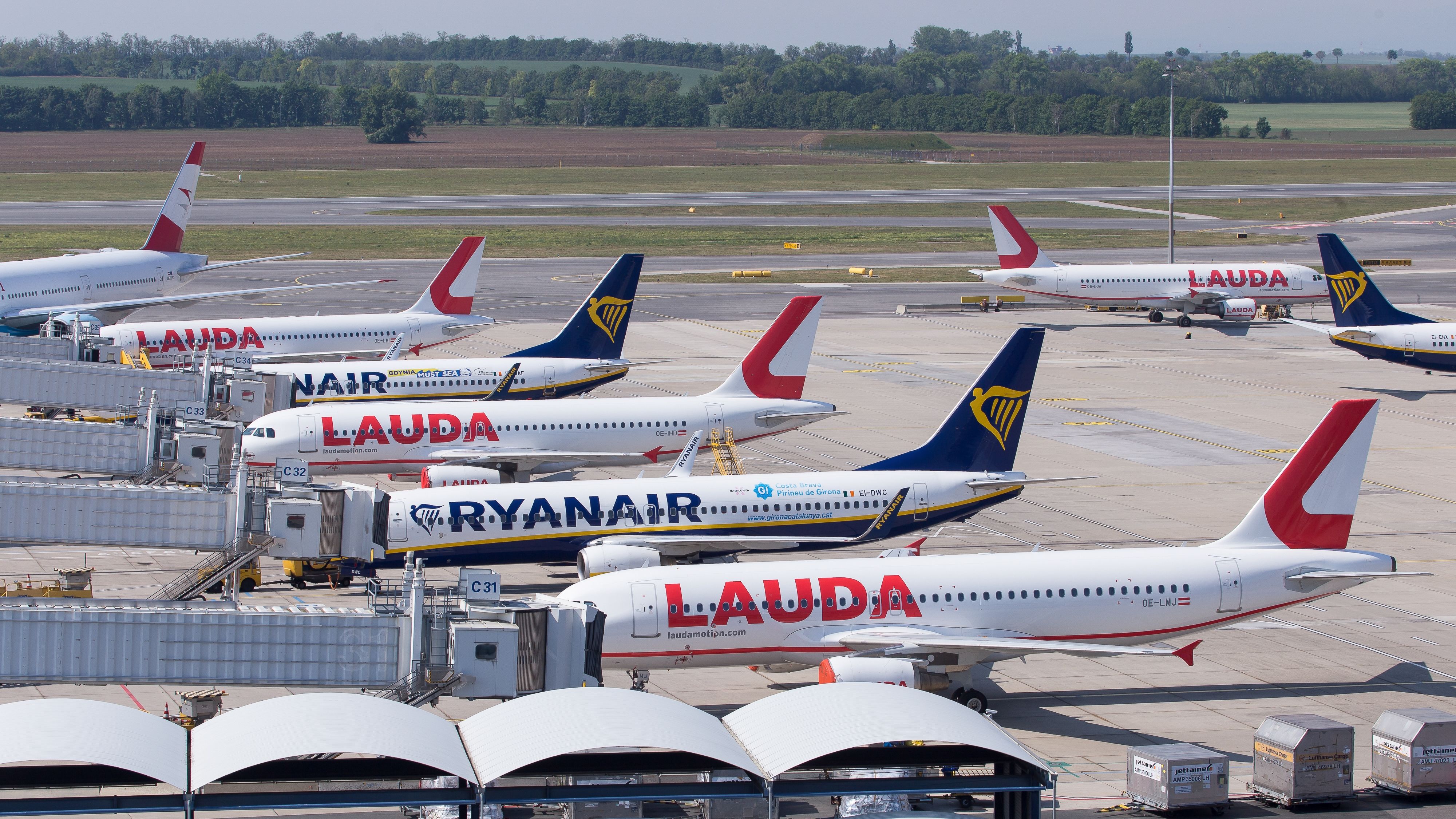 Many Ryanair and Lauda aircraft parked at airport gates.