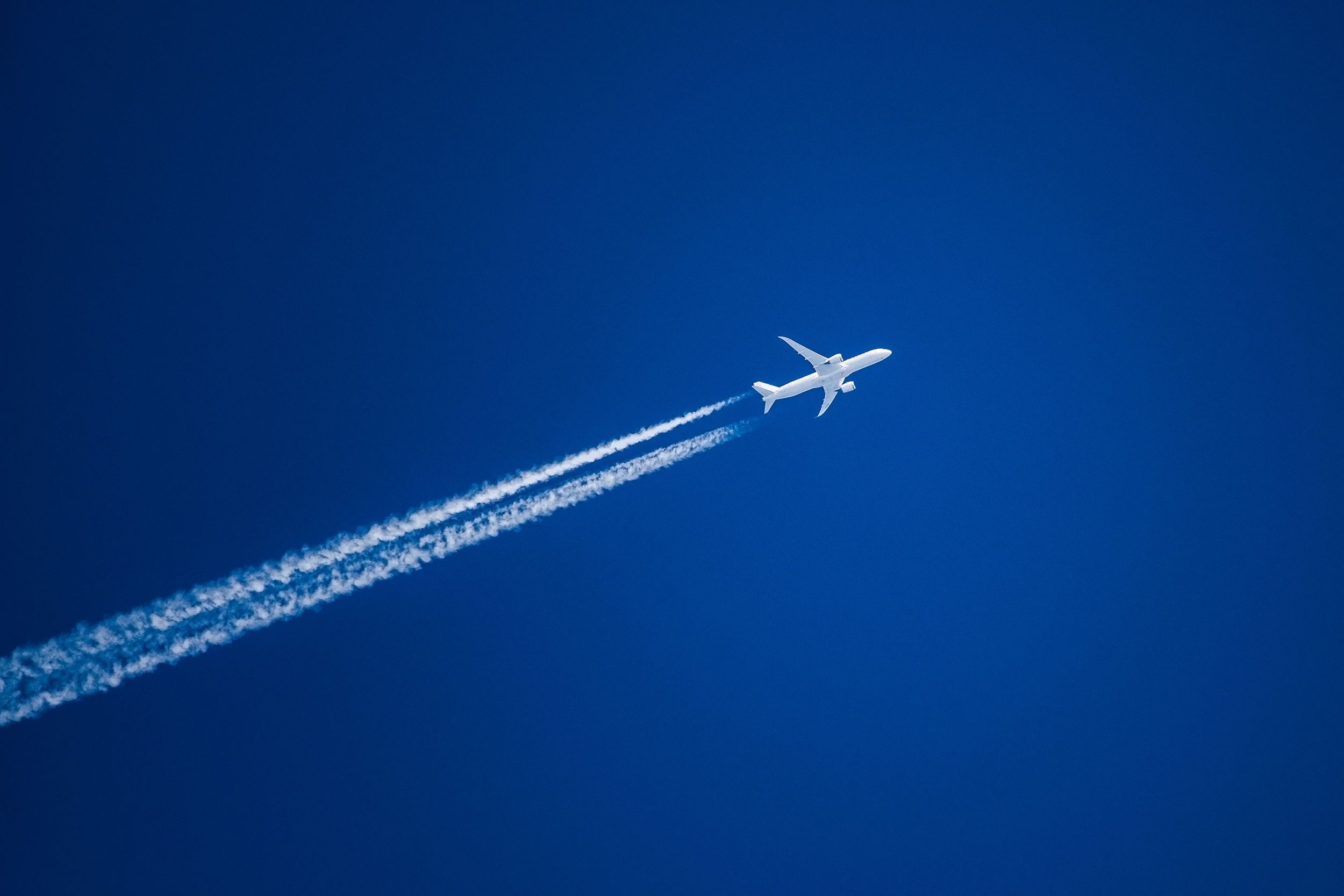 A plane spotted cruising high in the sky.