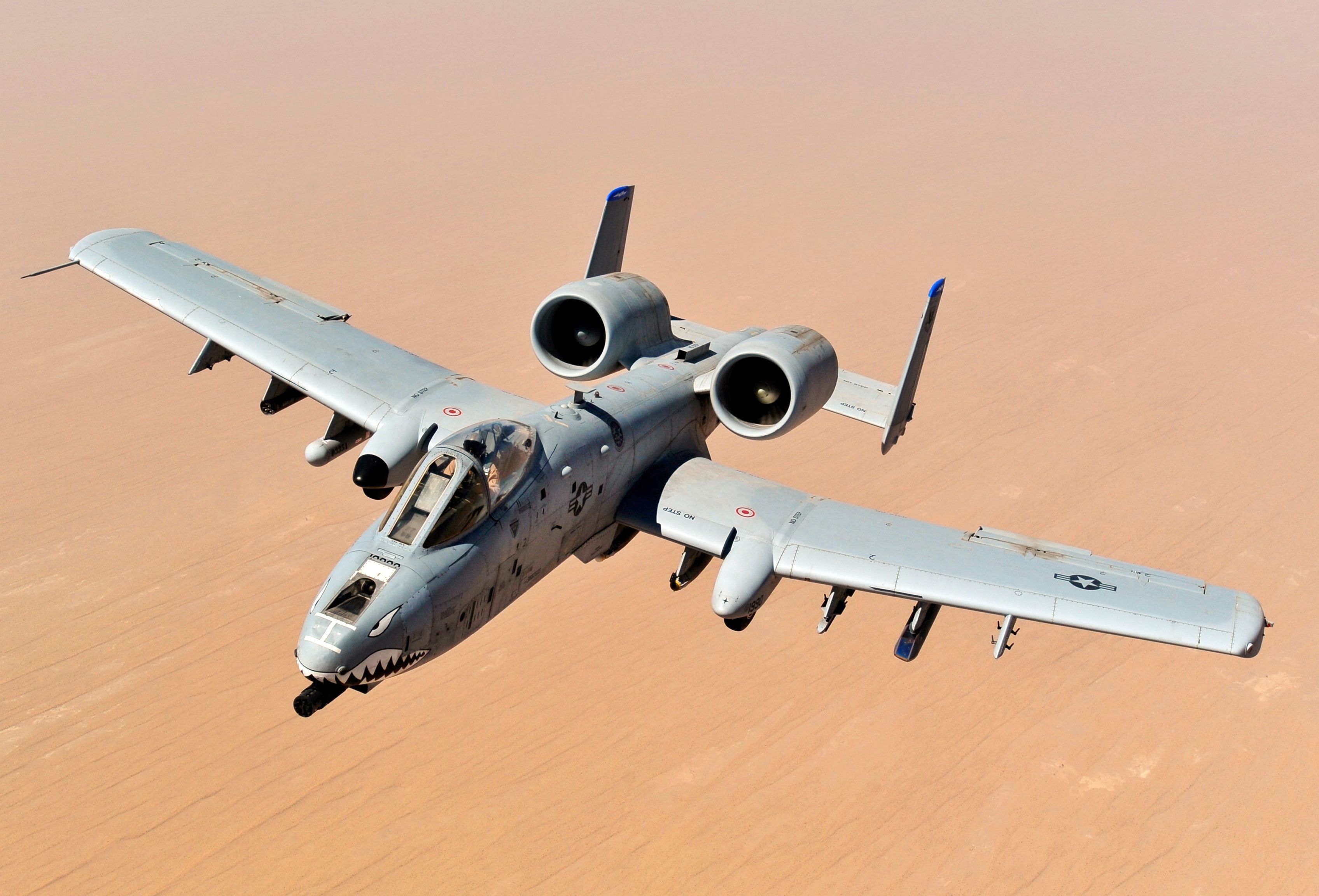 Warthog: Why Is The A-10 Thunderbolt Still So Popular?