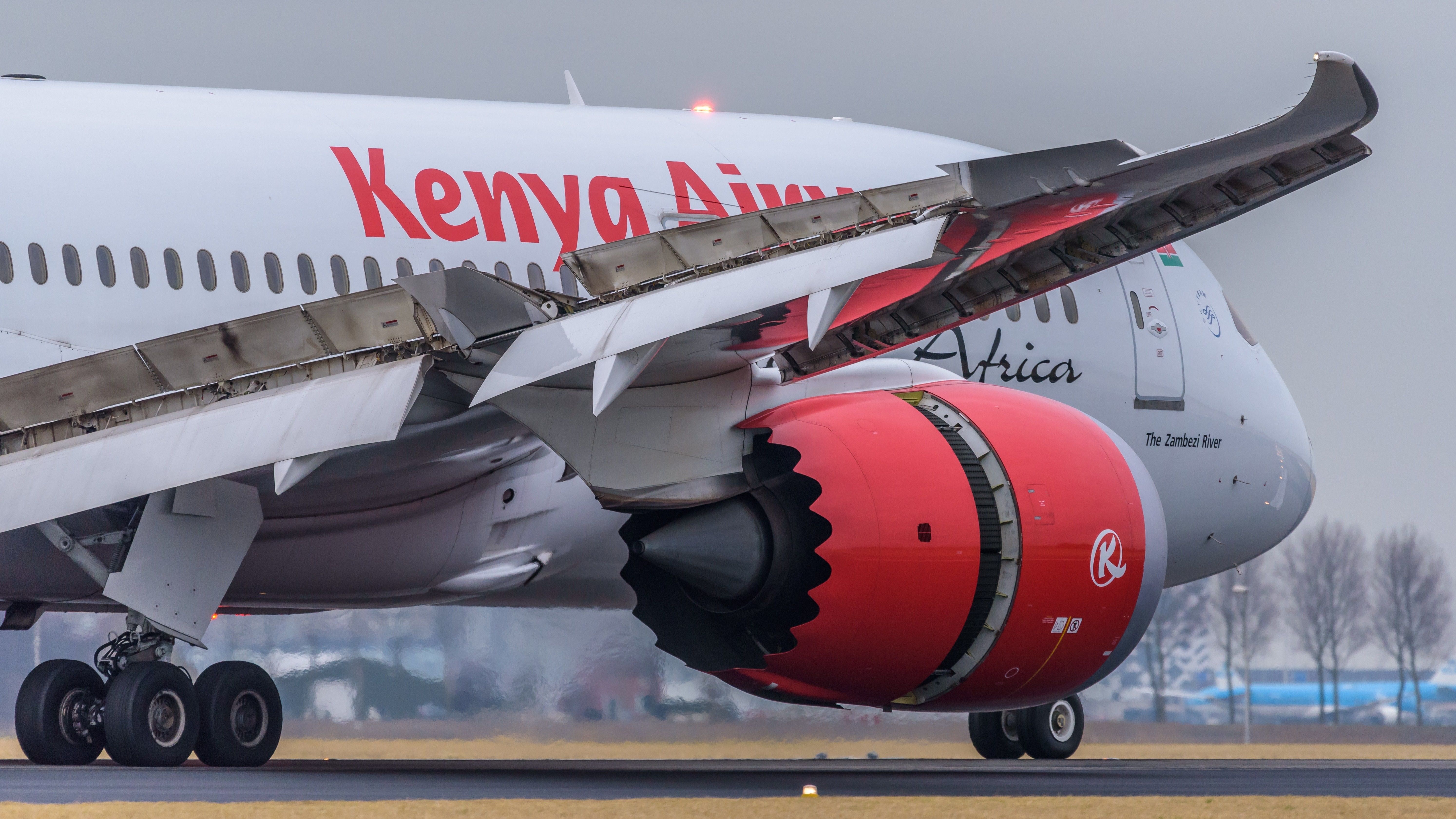 Kenya Airways 787-8 landing reverse thrust
