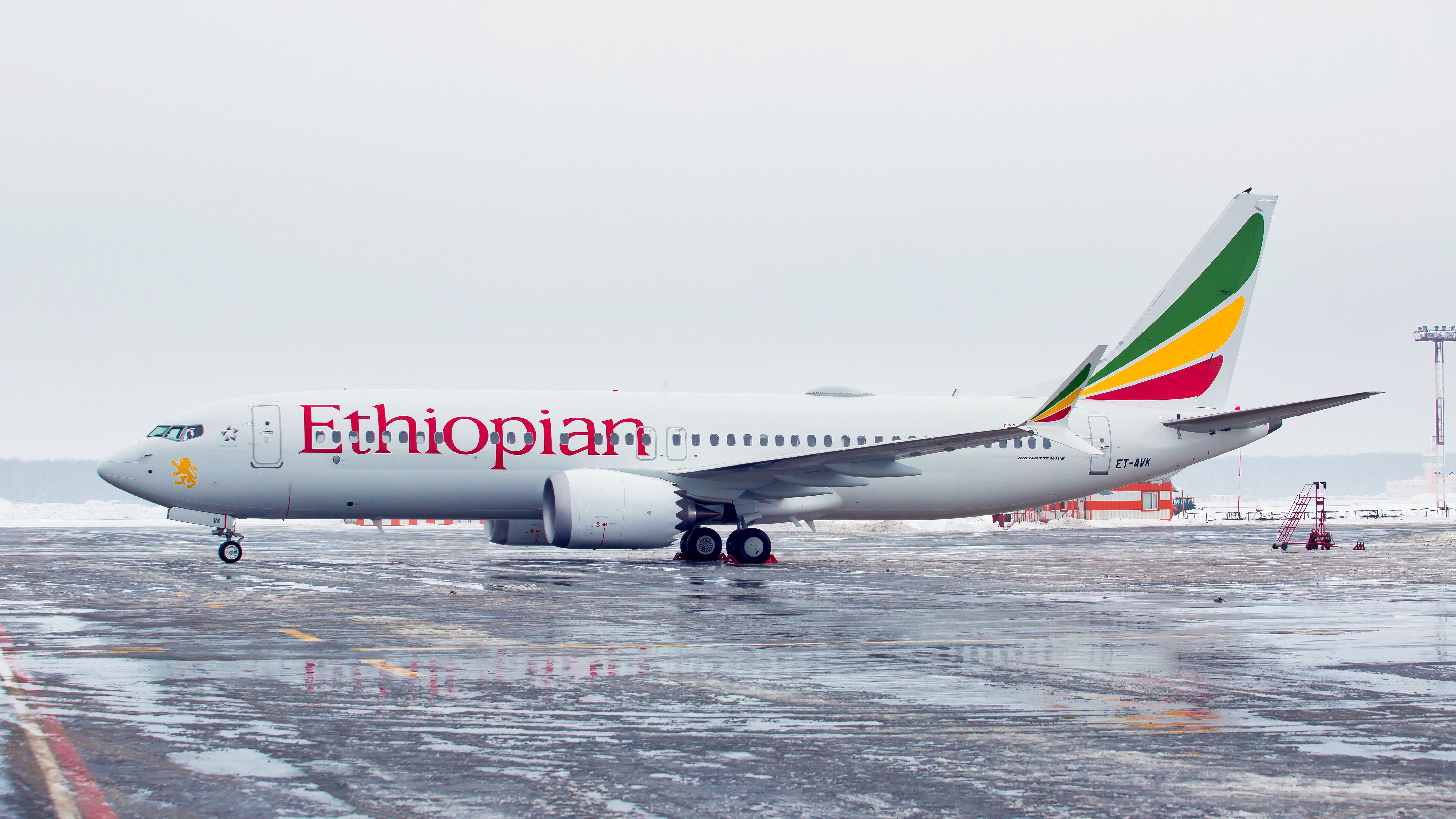 Ethiopian Airline Boeing 737 MAX in the snow.
