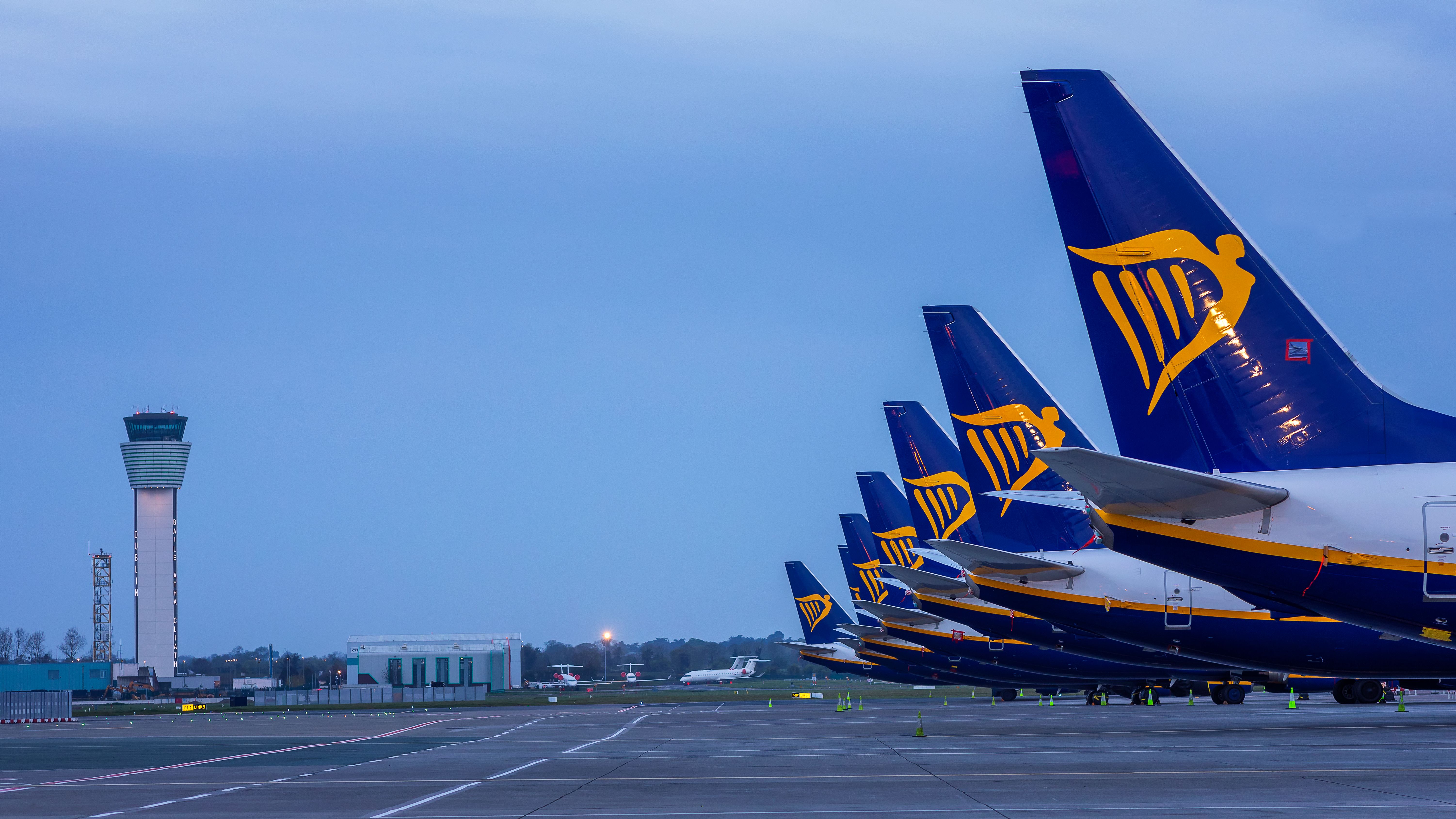 Many Ryanair Boeing 737s parked in a line at Dublin Airport.