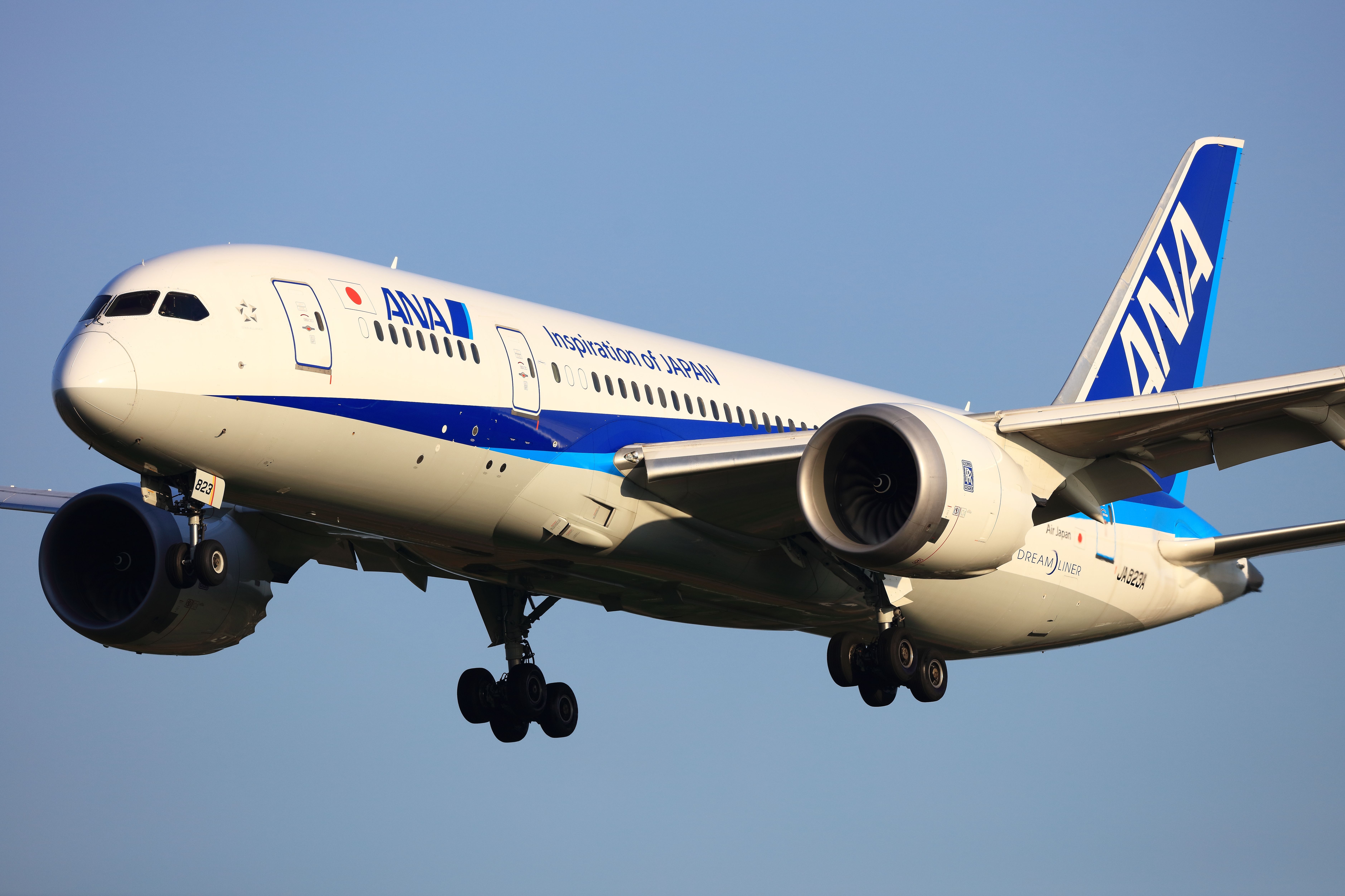 An All Nippon Airways Boeing 787 flying in the sky.