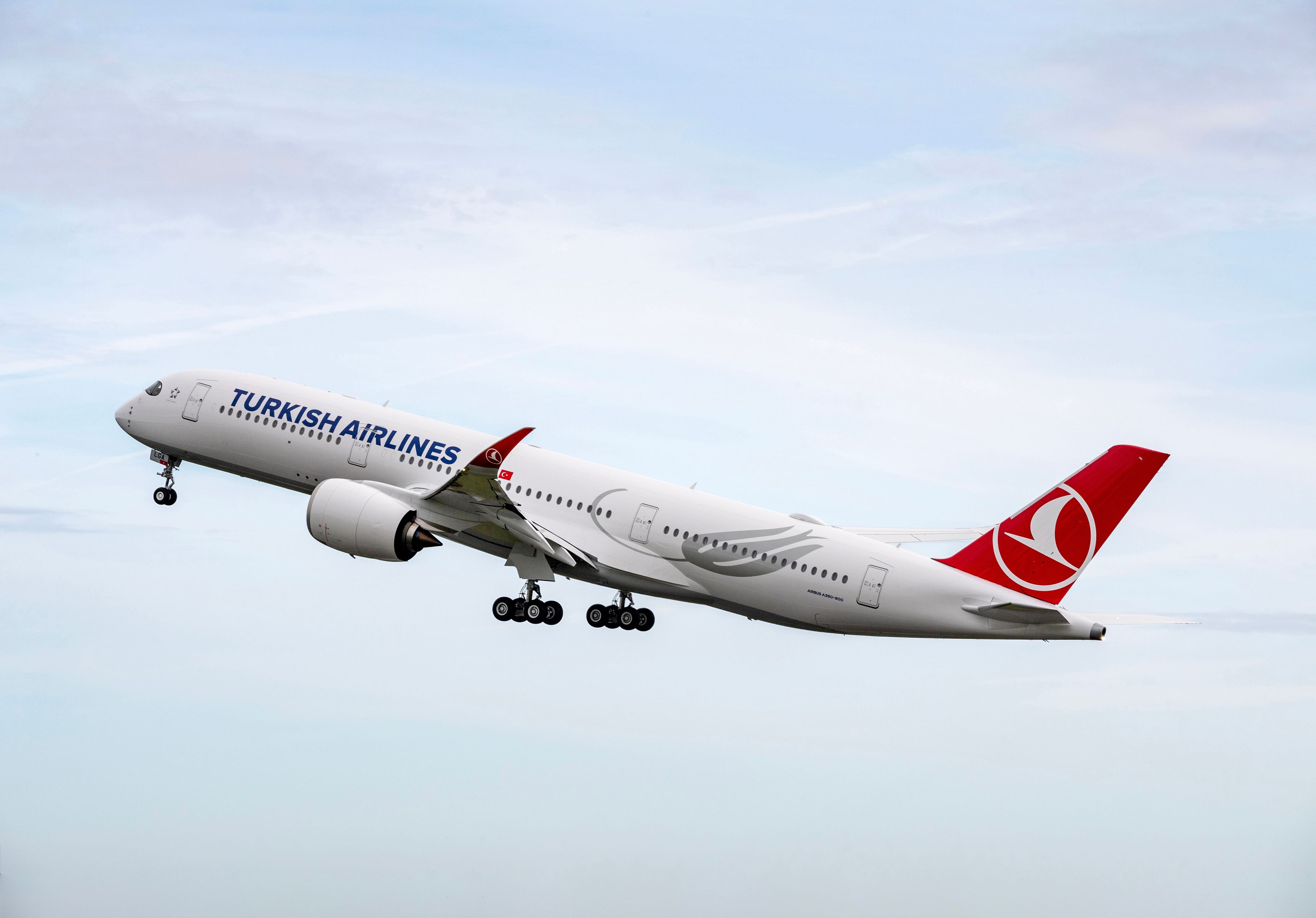 a Turkish Airlines Airbus A350-900 Taking Off into the skies.