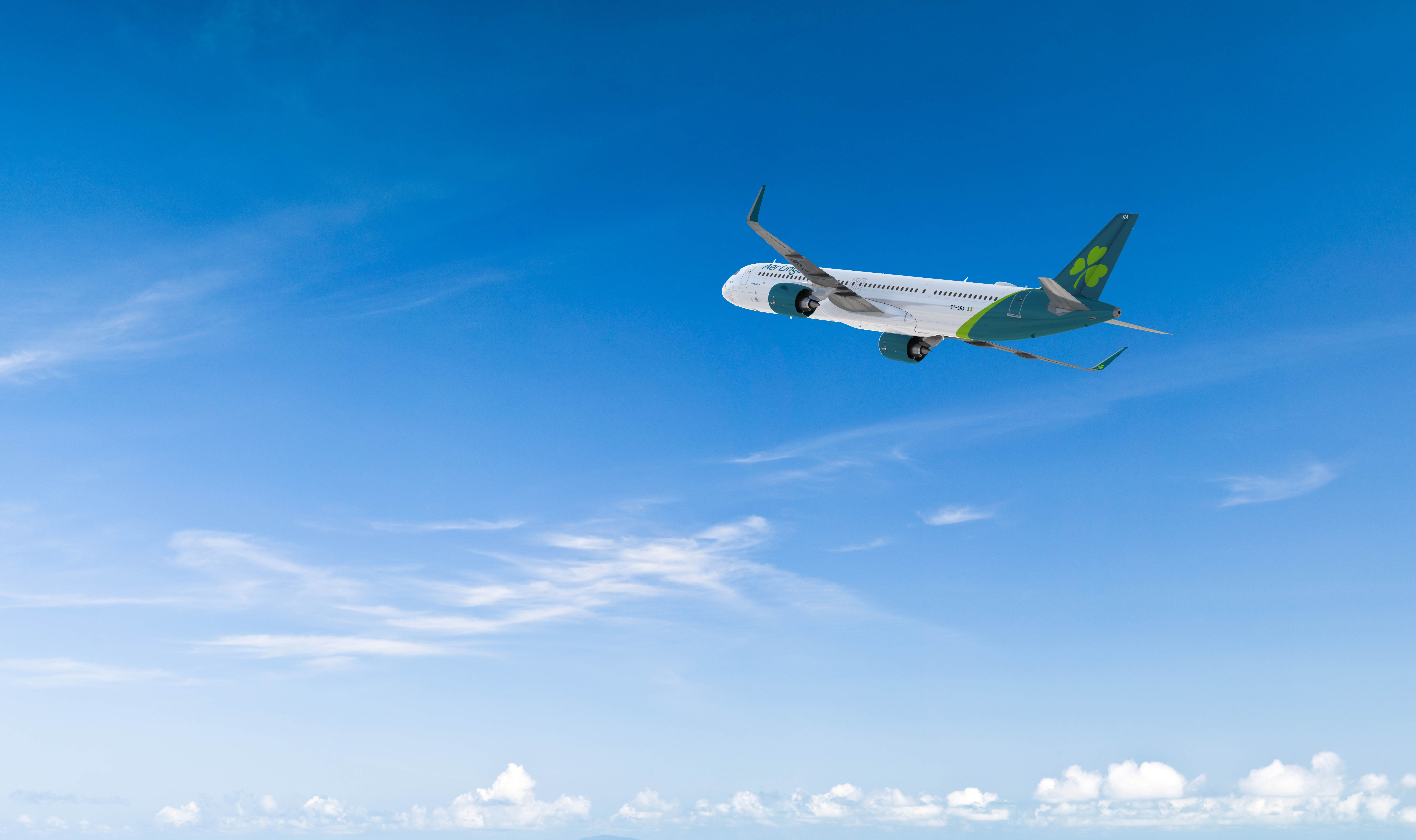 An Aer Lingus plane takes to the skies