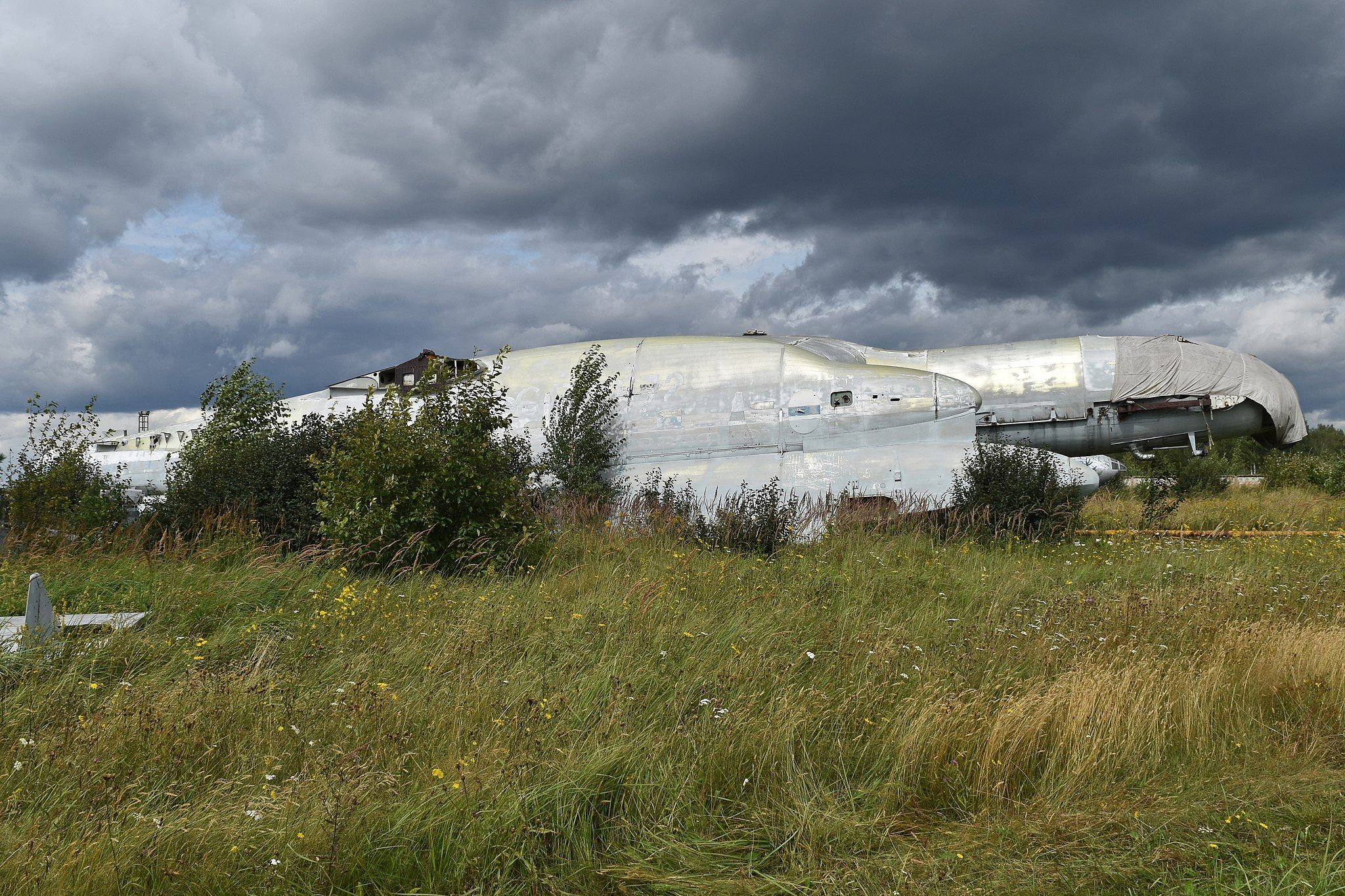 A Bartini Beriev VVA-14M1P in a field in Moscow.