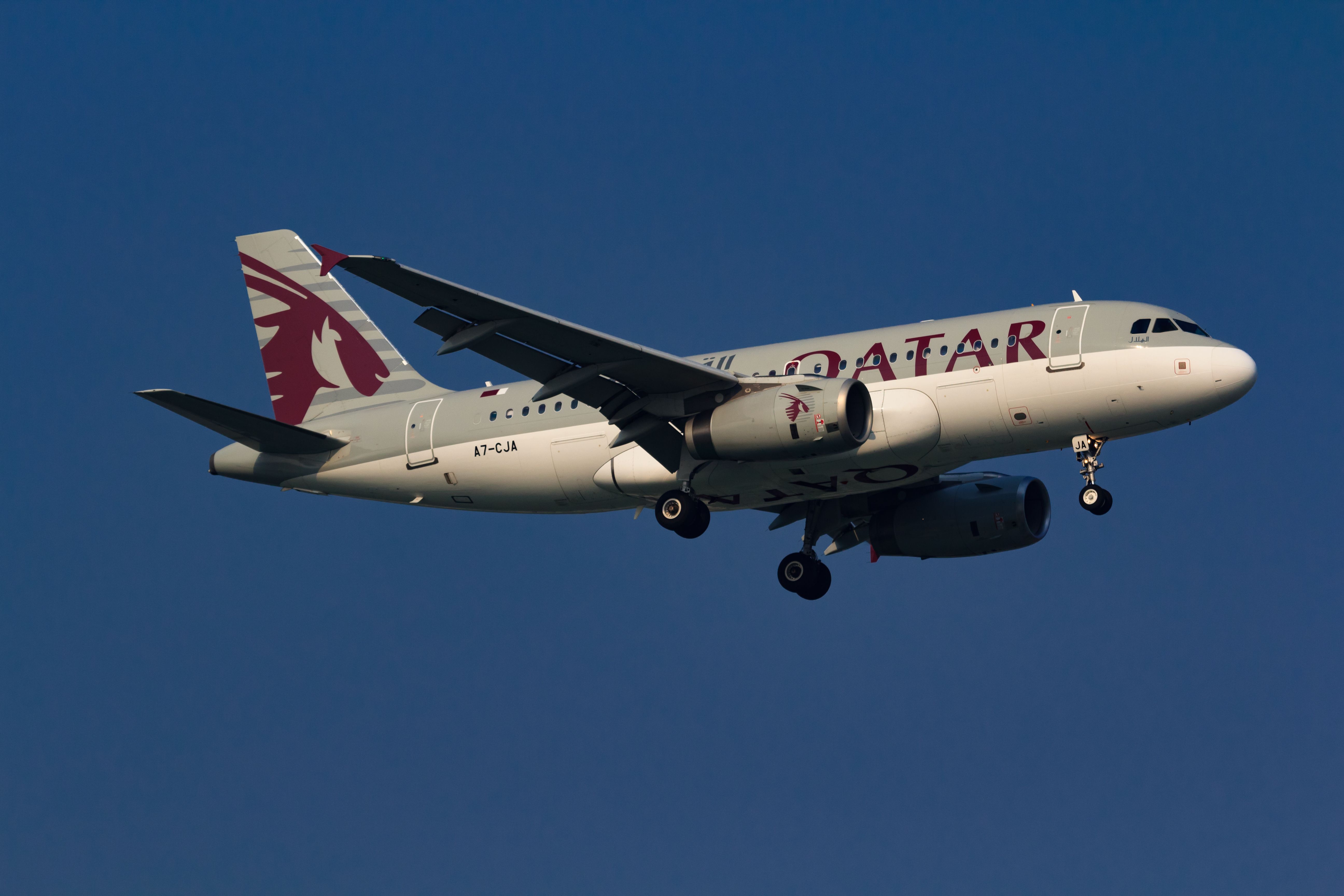 A Qatar Airways A319LR flying in the sky.
