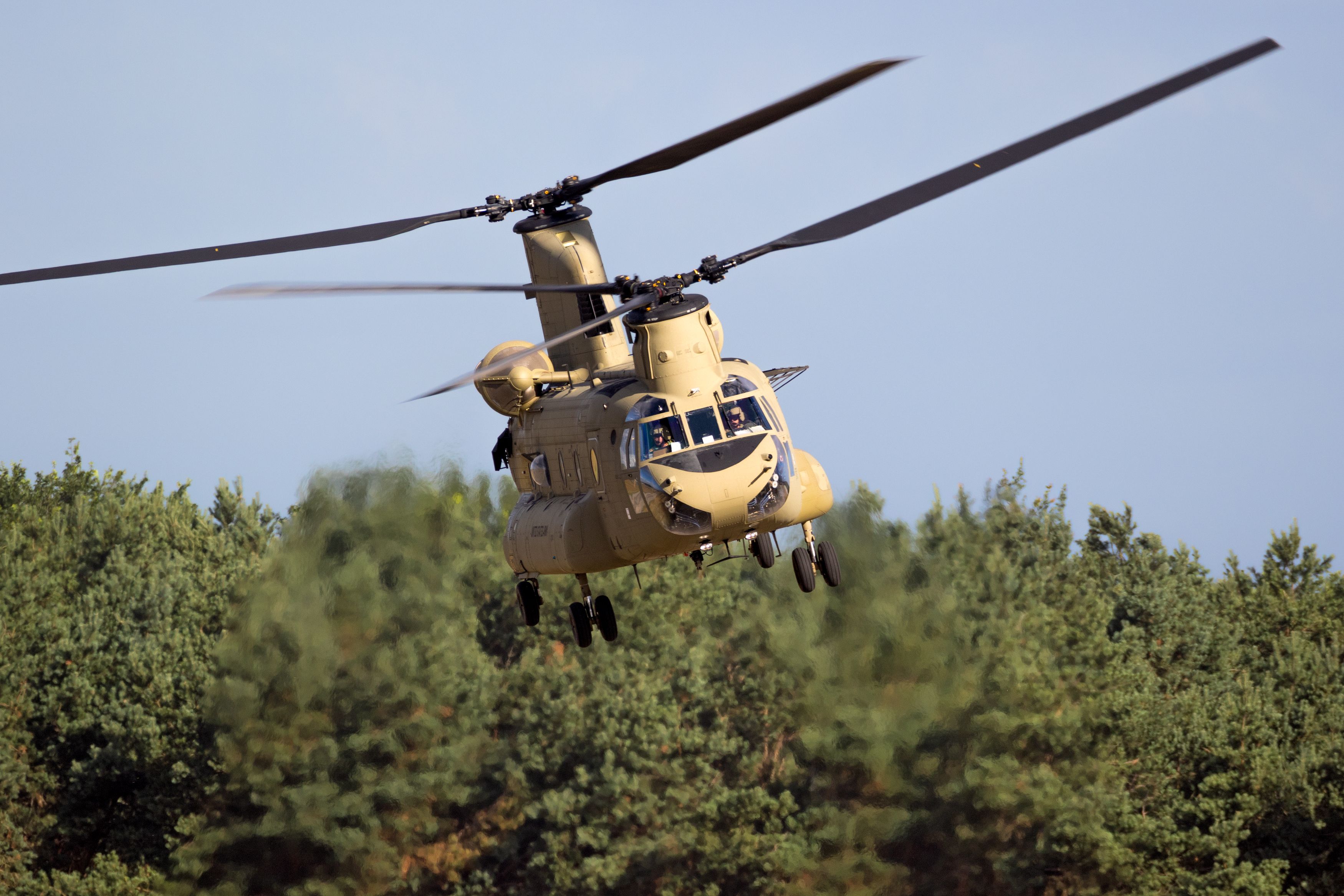 A United States Army Boeing CH-47F Chinook transport helicopter taking off.