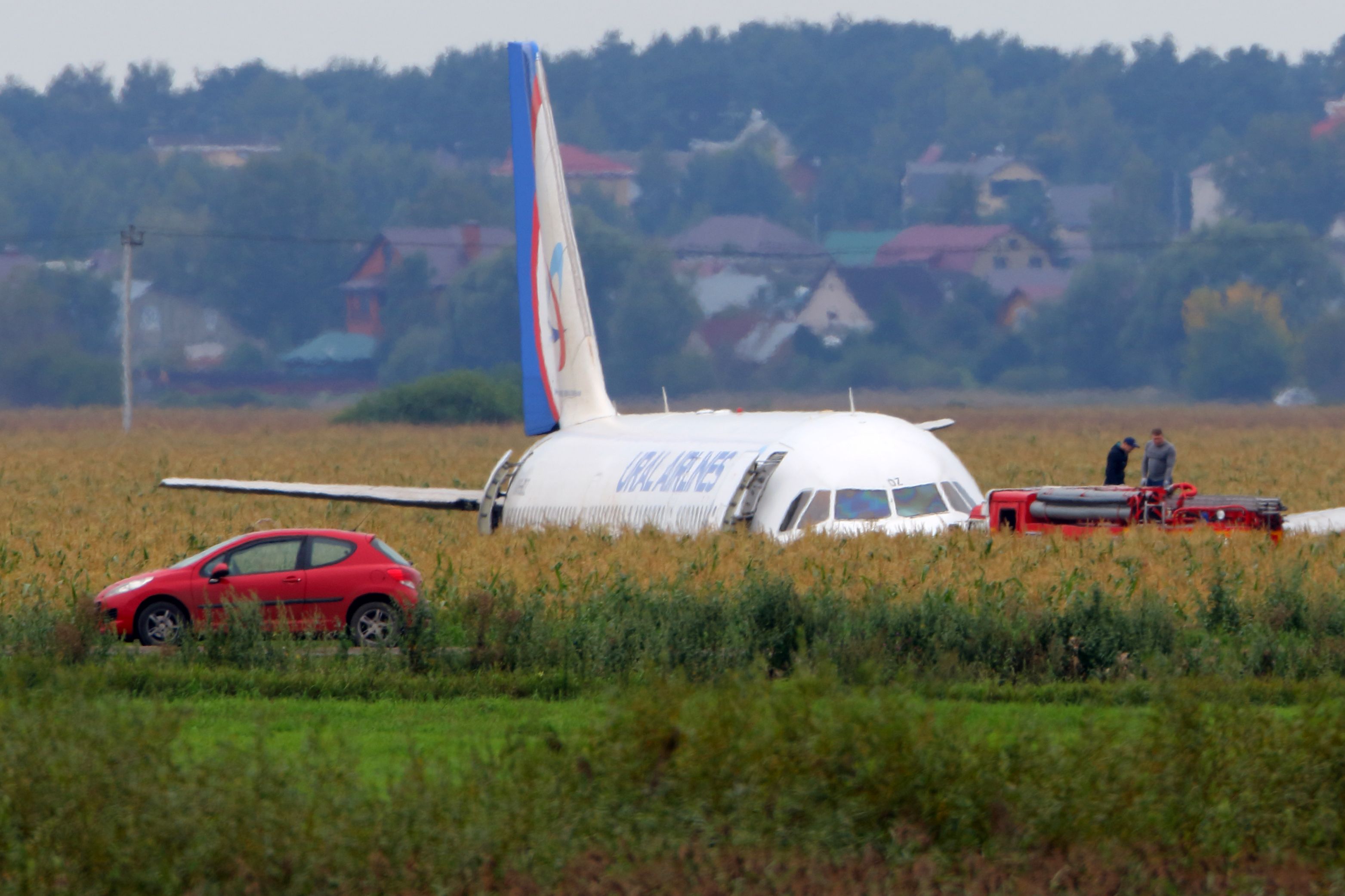 Ural Airlines Airbus A321 in cornfield