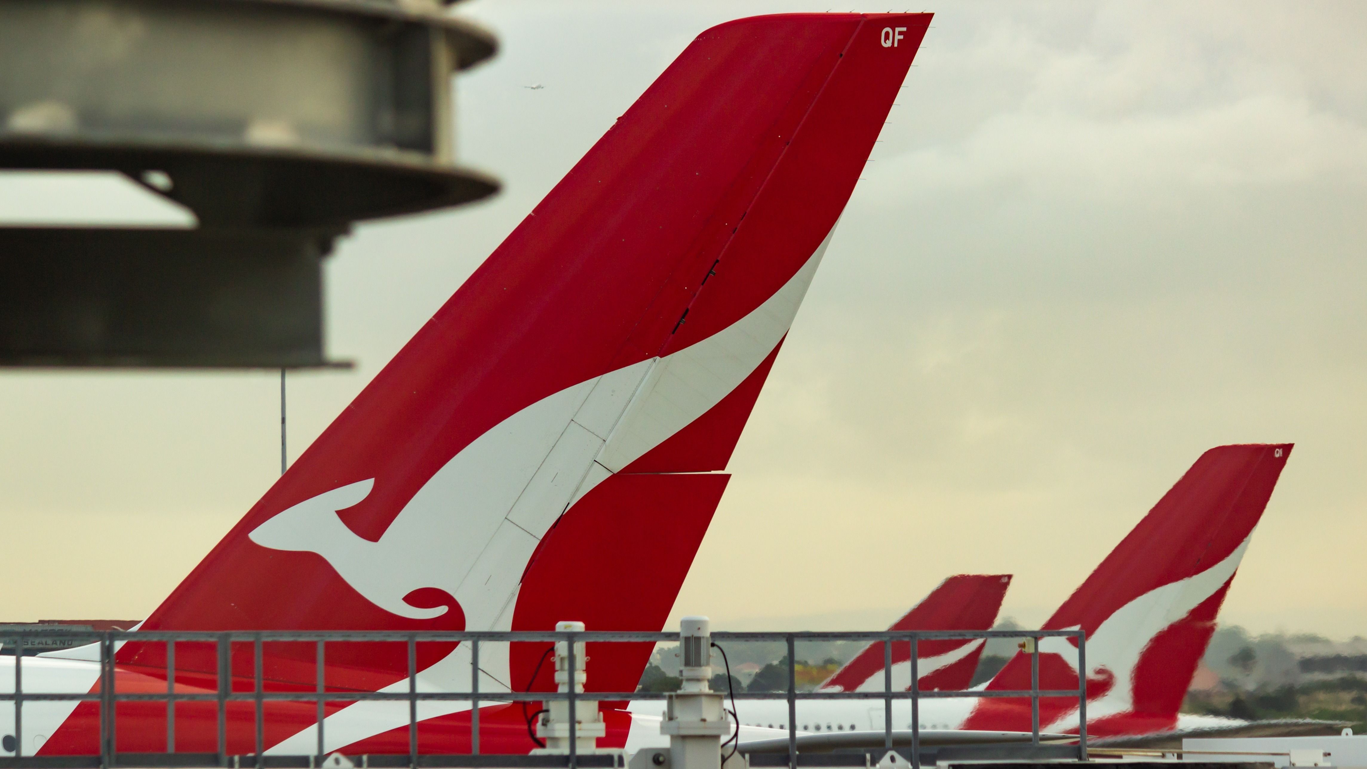 Qantas aircraft tails.