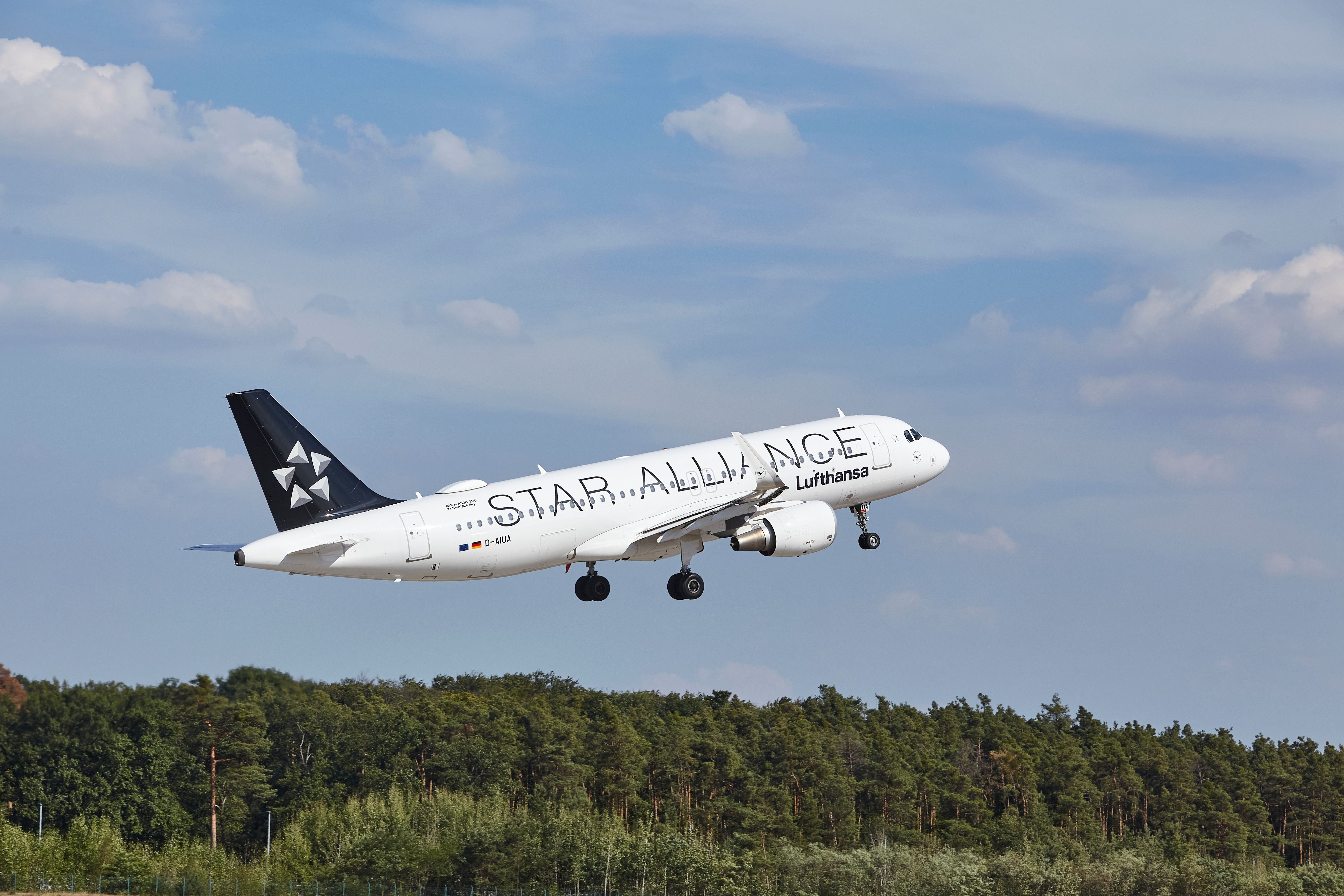 A Lufthansa Airbus A320-214 in Star Alliance Livery taking off.