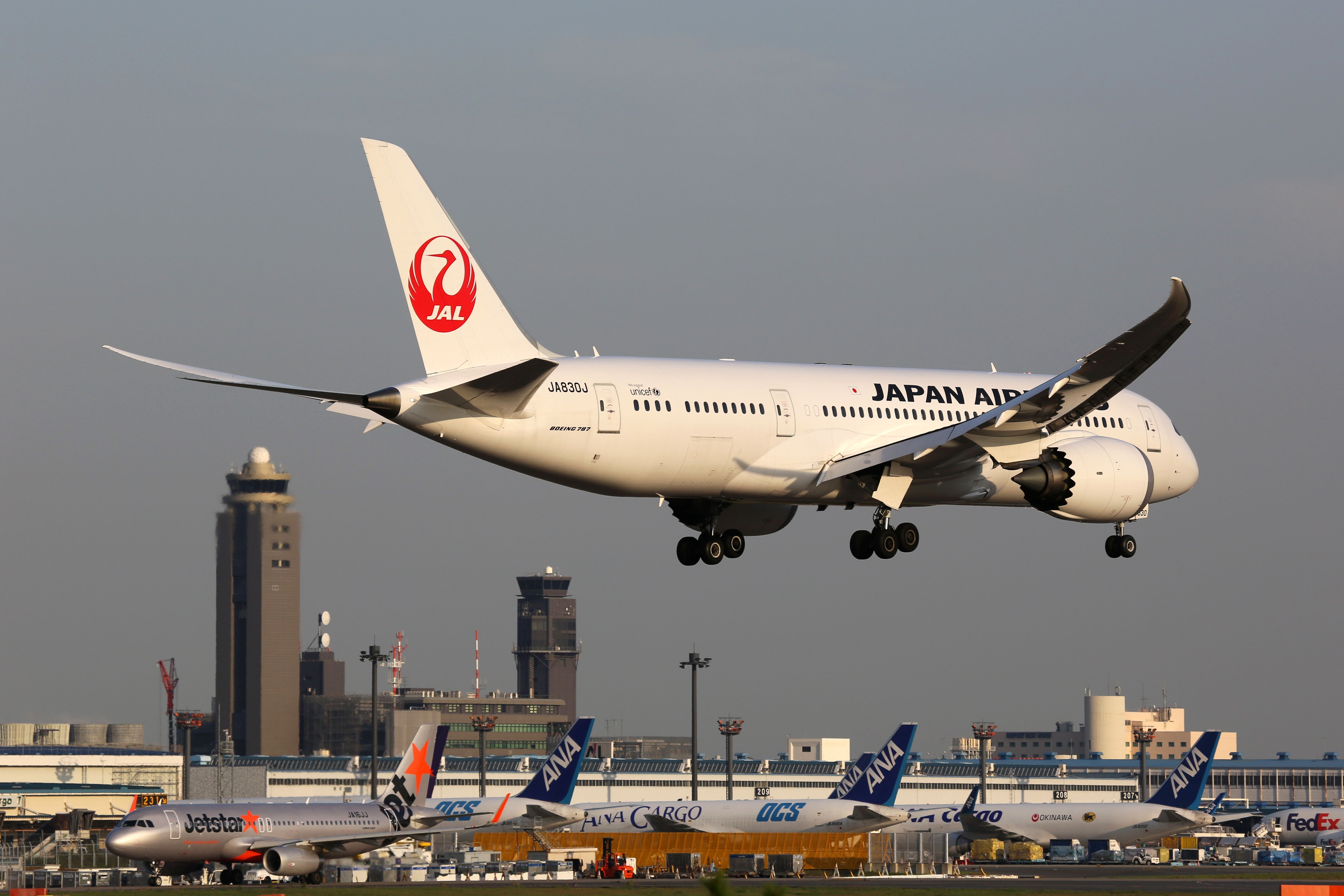 Japan Airlines Boeing 787 at Tokyo Narita Airport