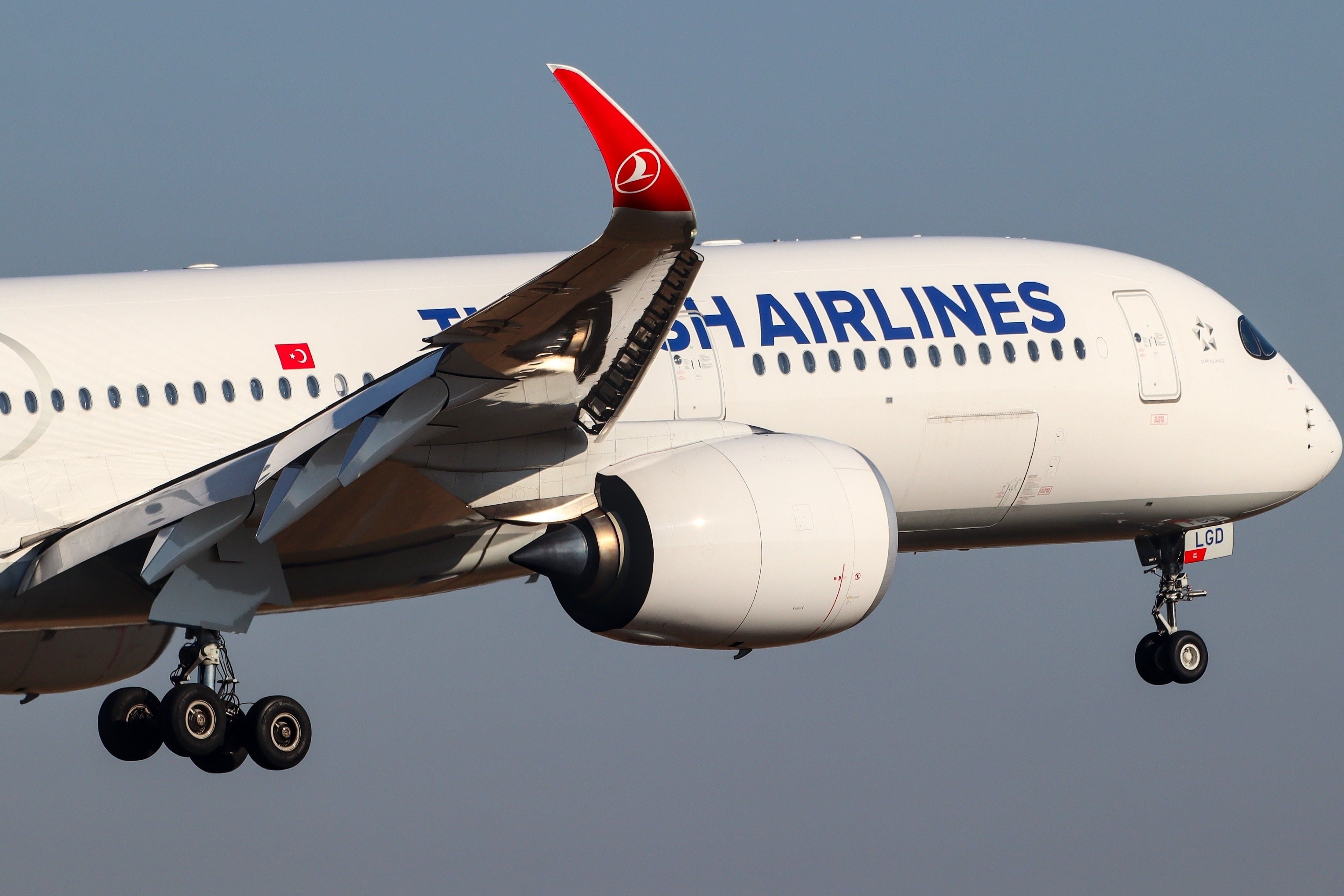 Turkish Airlines A350-900 landing 3.2