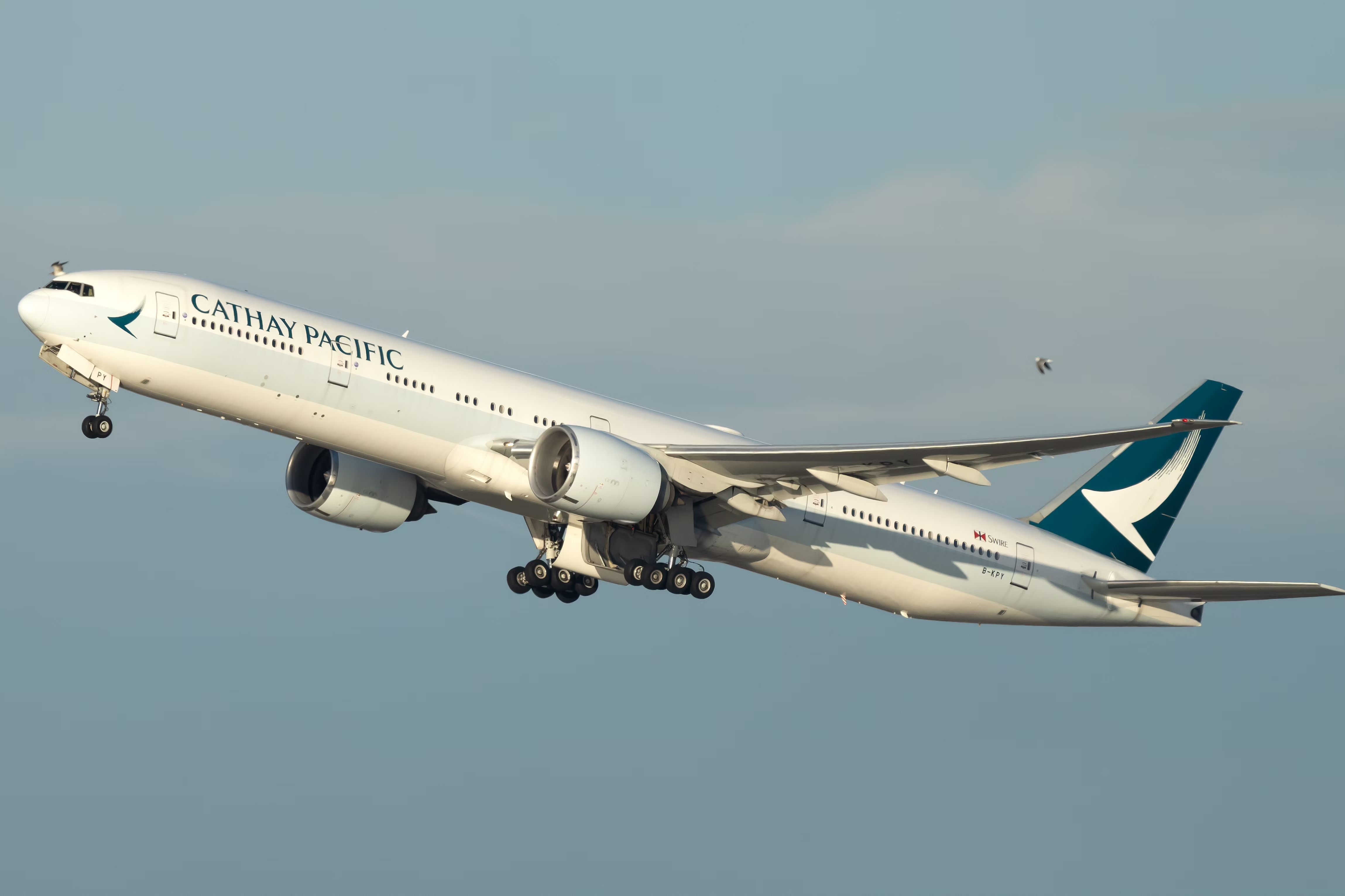 A Cathay Boeing 777-300ER flying in the sky.