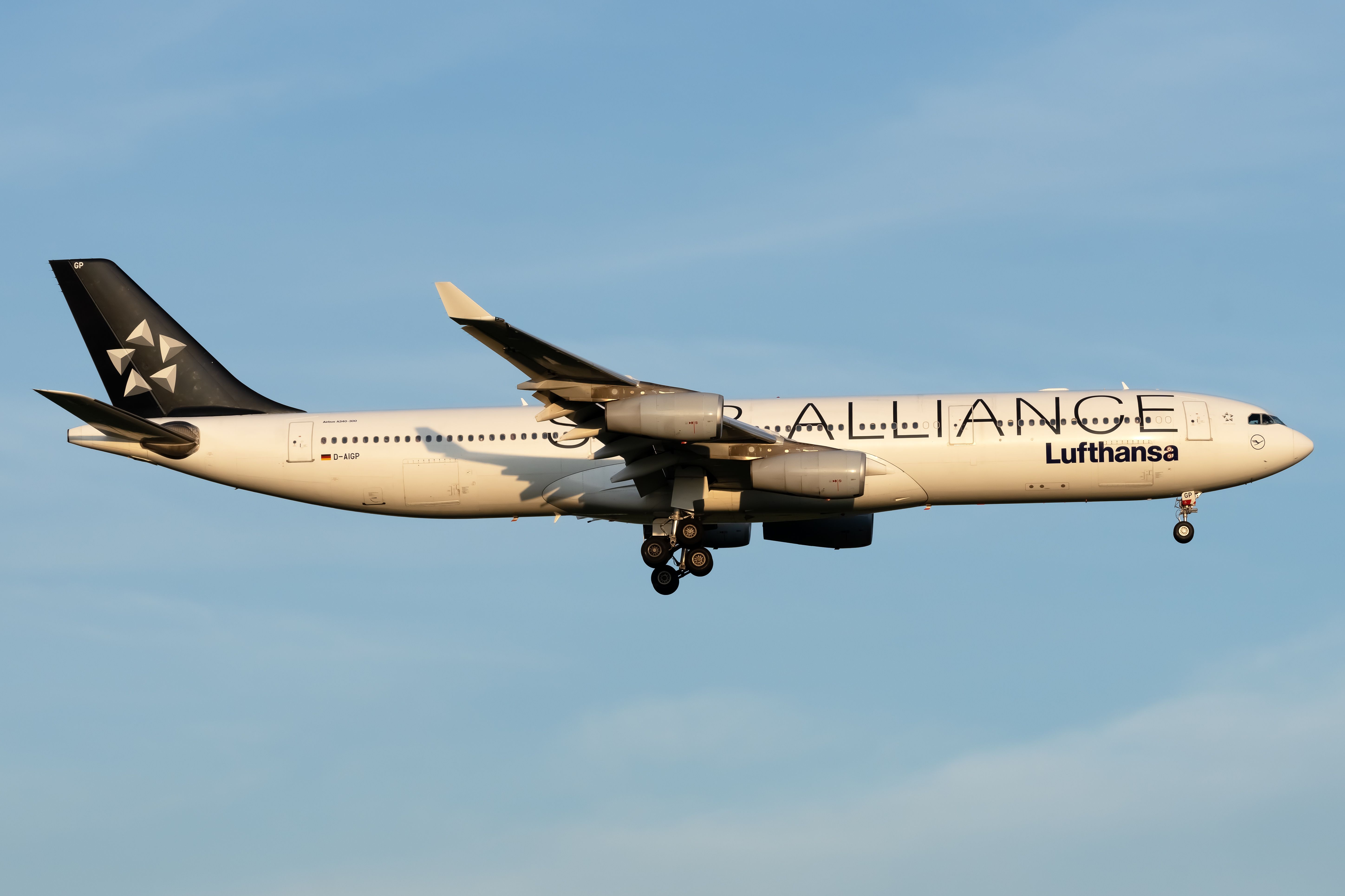 A Lufthansa Airbus A340-300 in Star Alliance livery flying in the sky.