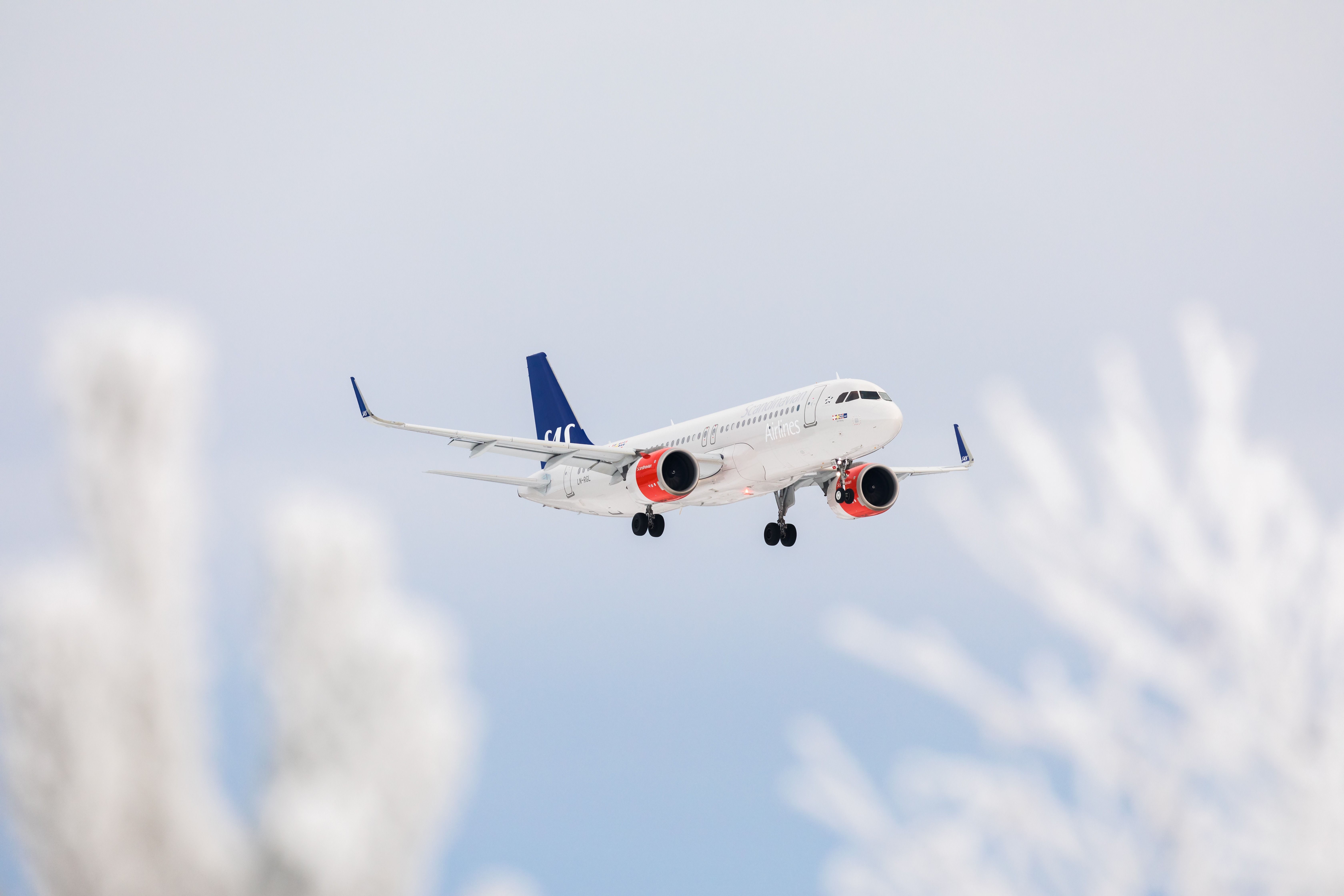 Flypix Scandinavian airlines (SAS) A320NEO coming in to land in with snowy trees in foreground (1)