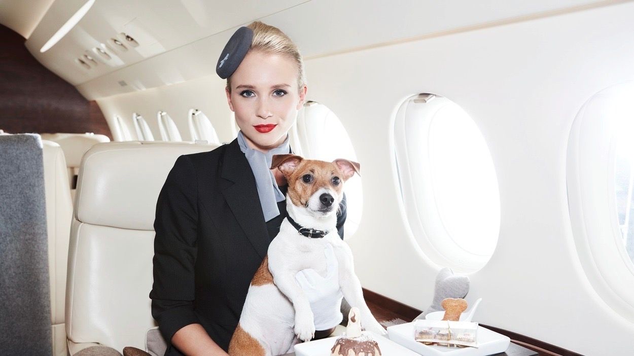 Everything You Need To Know About Working As Private Jet Cabin Crew