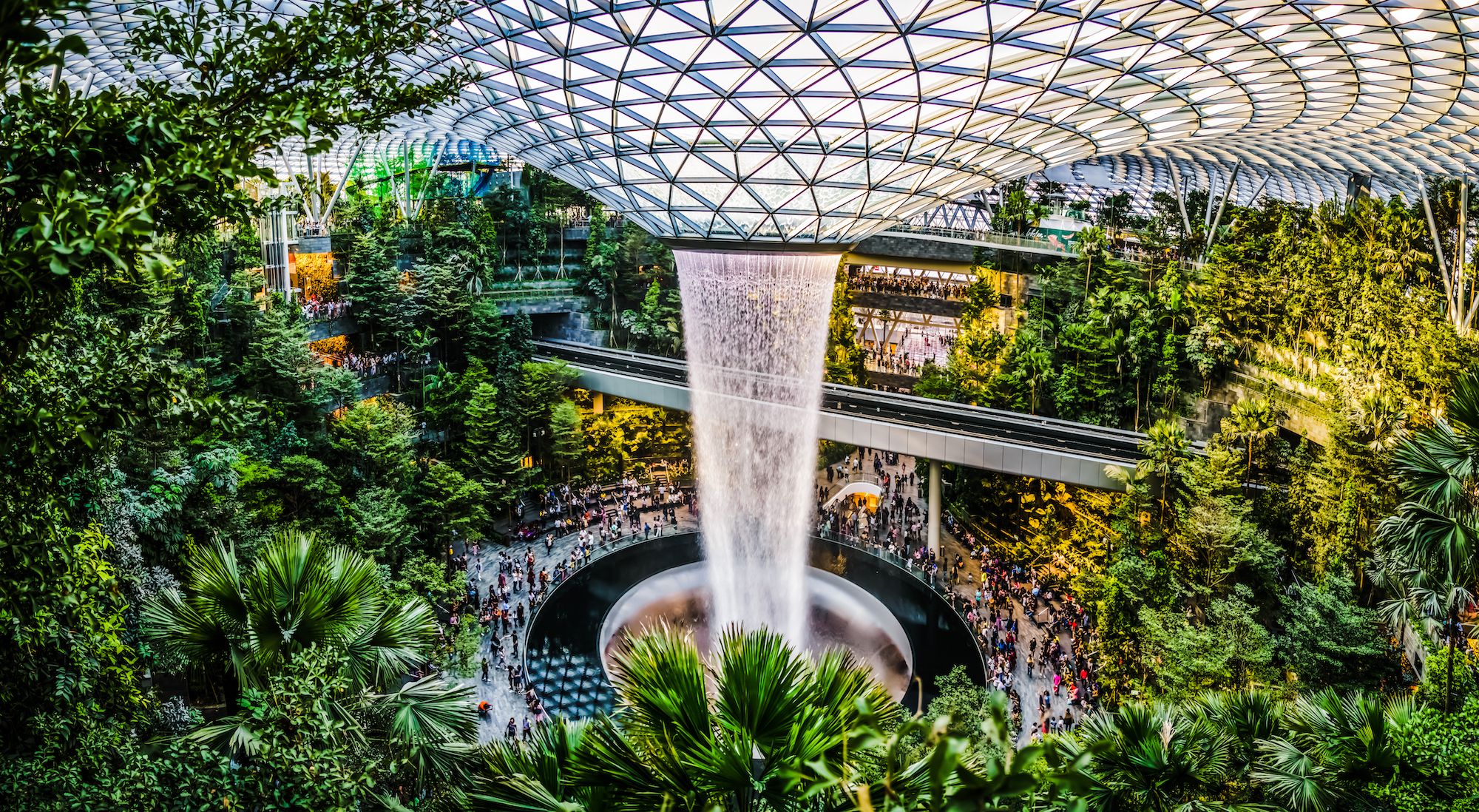 An overview of the plants and indoor waterfall at Jewel Changi Airport.