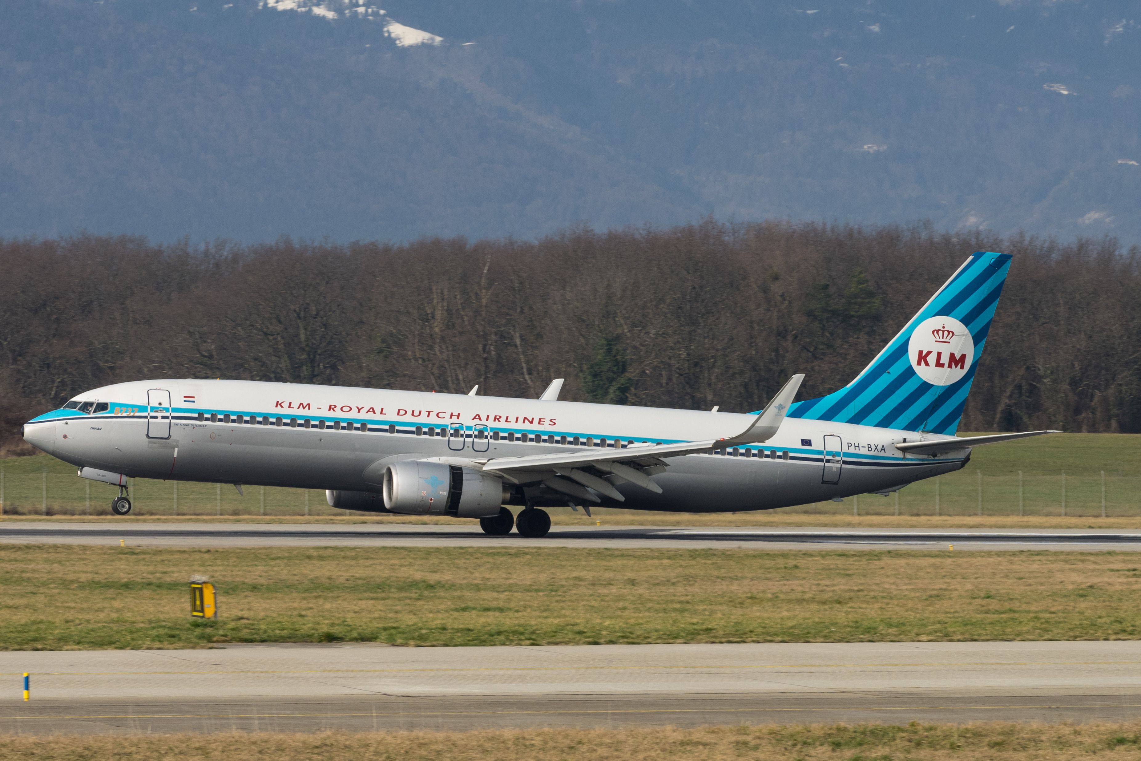 A KLM Boeing 737 in retro livery taking off.