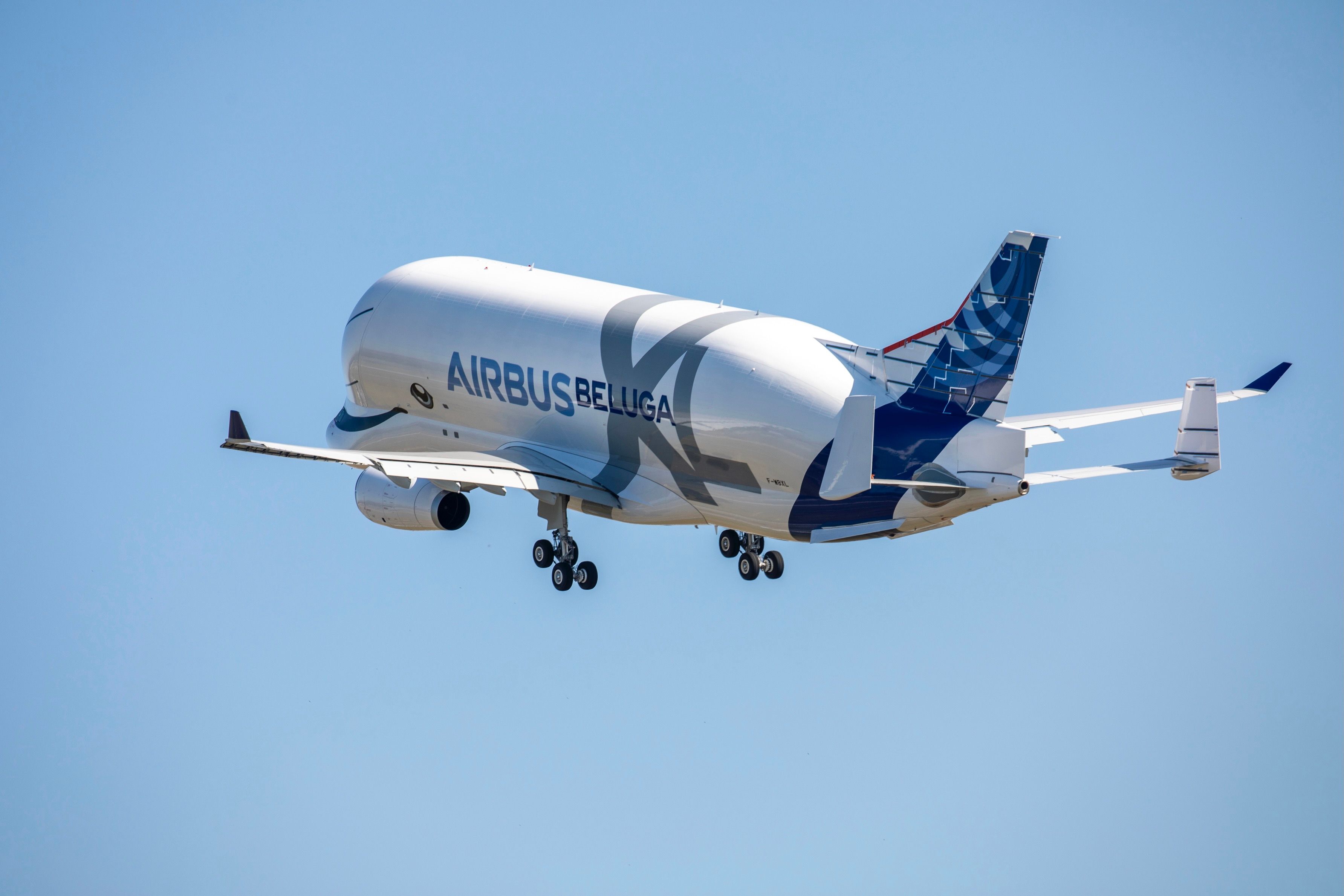 An AIrbus BelugaXL flying in the sky.