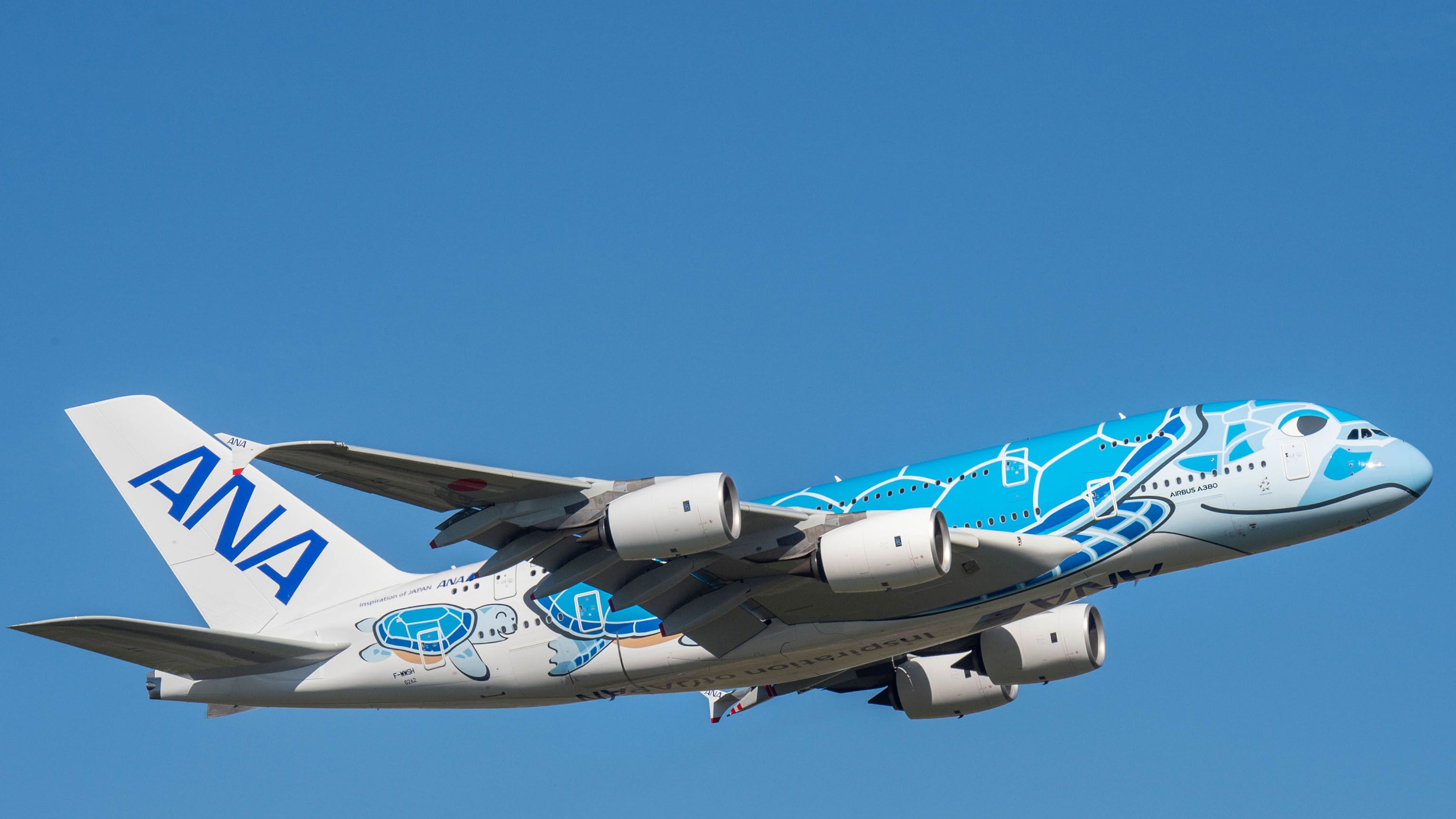 ANA AIRBUS A380 FLYING HONU 1:200 Scale - ホビー・楽器・アート