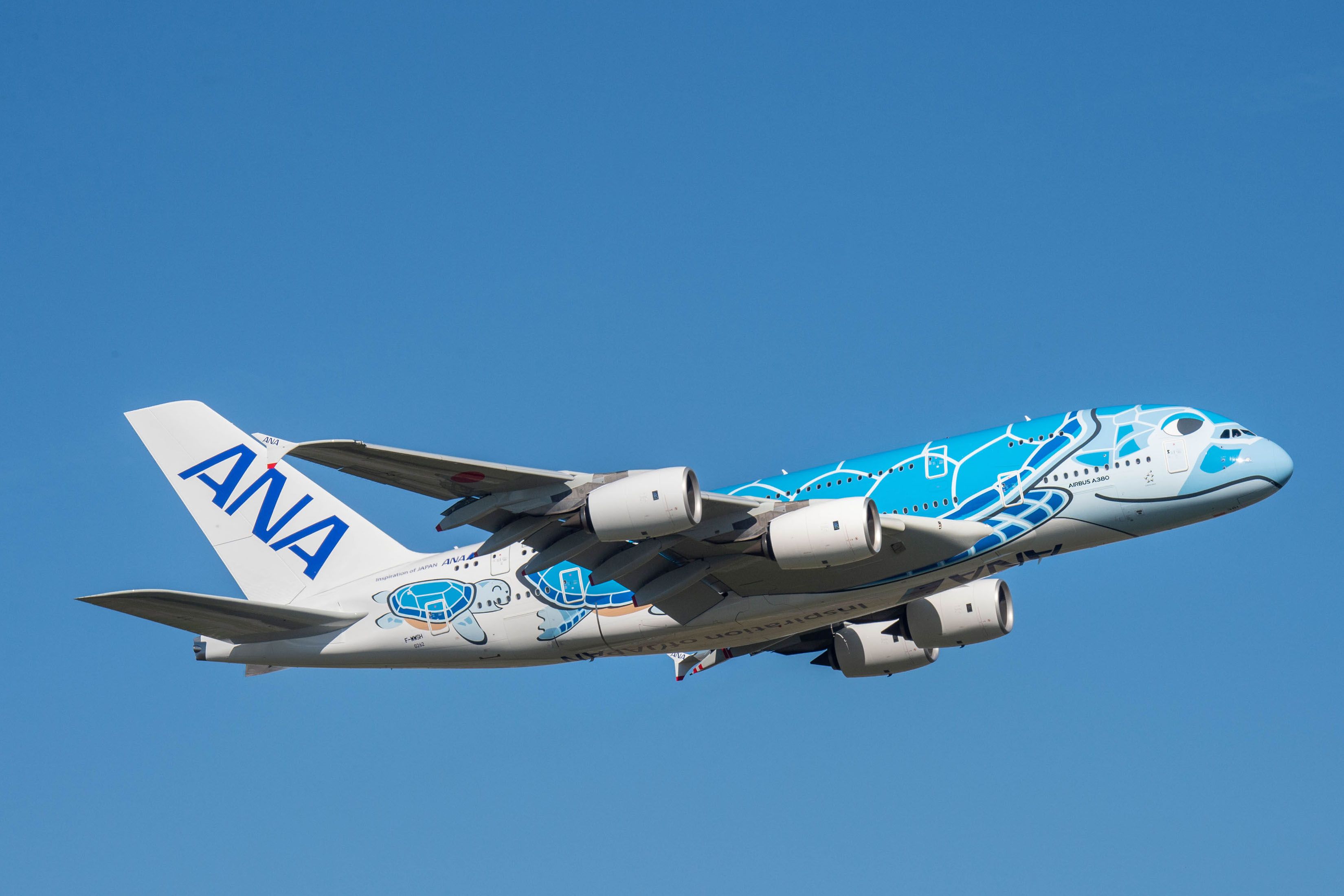 An ANA Airbus A380 Flying Honu against a blue sky.