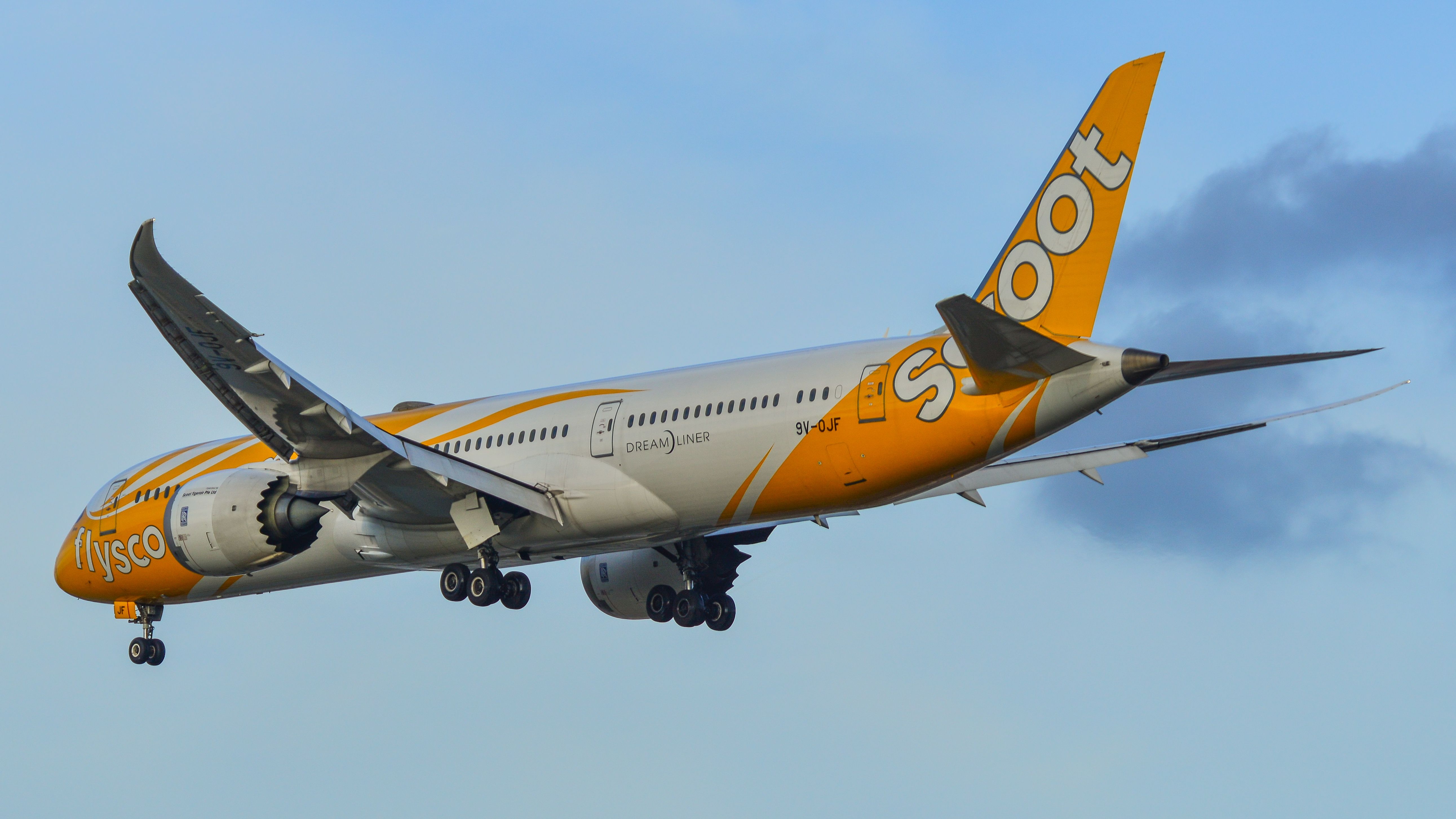 Scoot Boeing 787