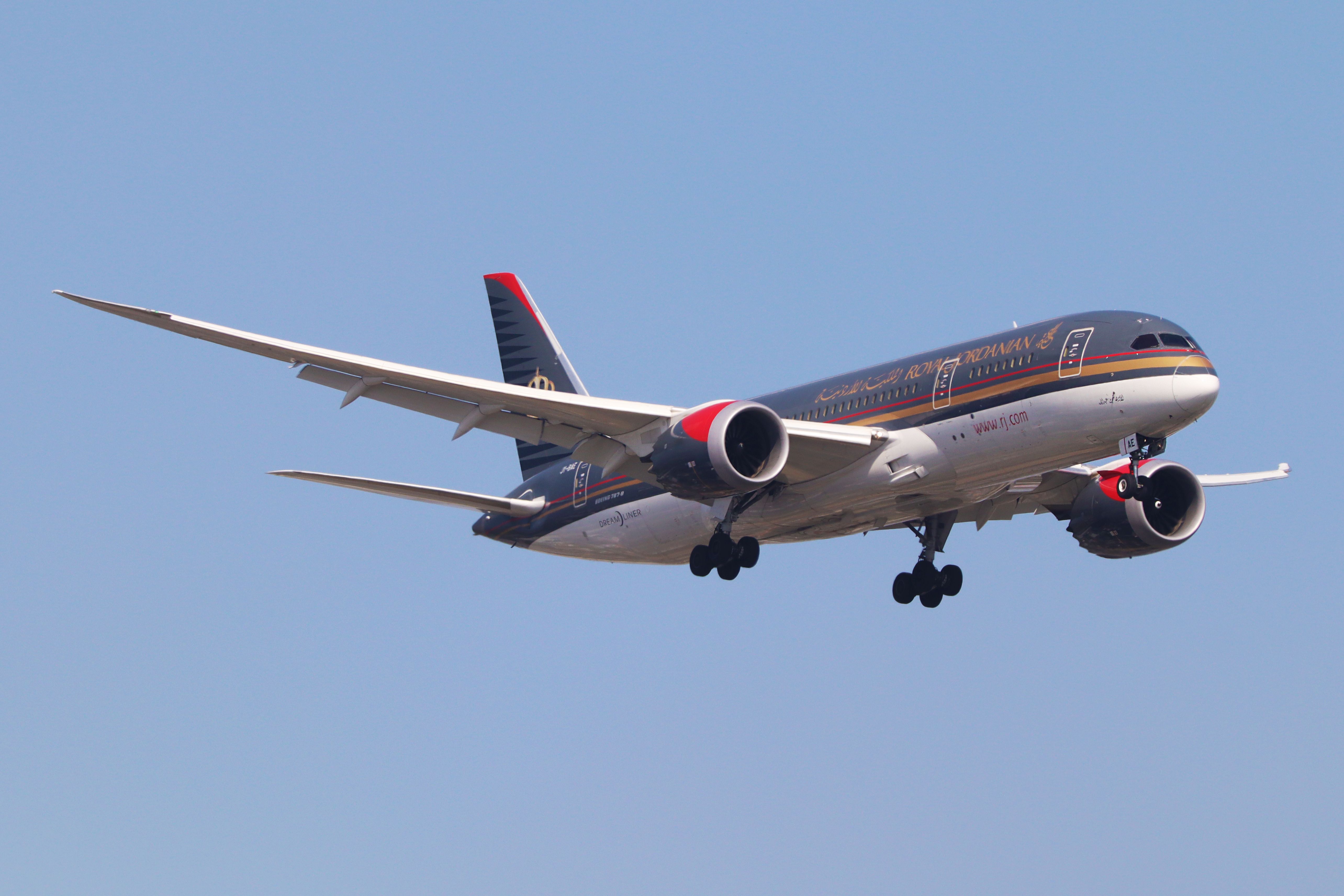 Royal jordanian deals arrivals jfk