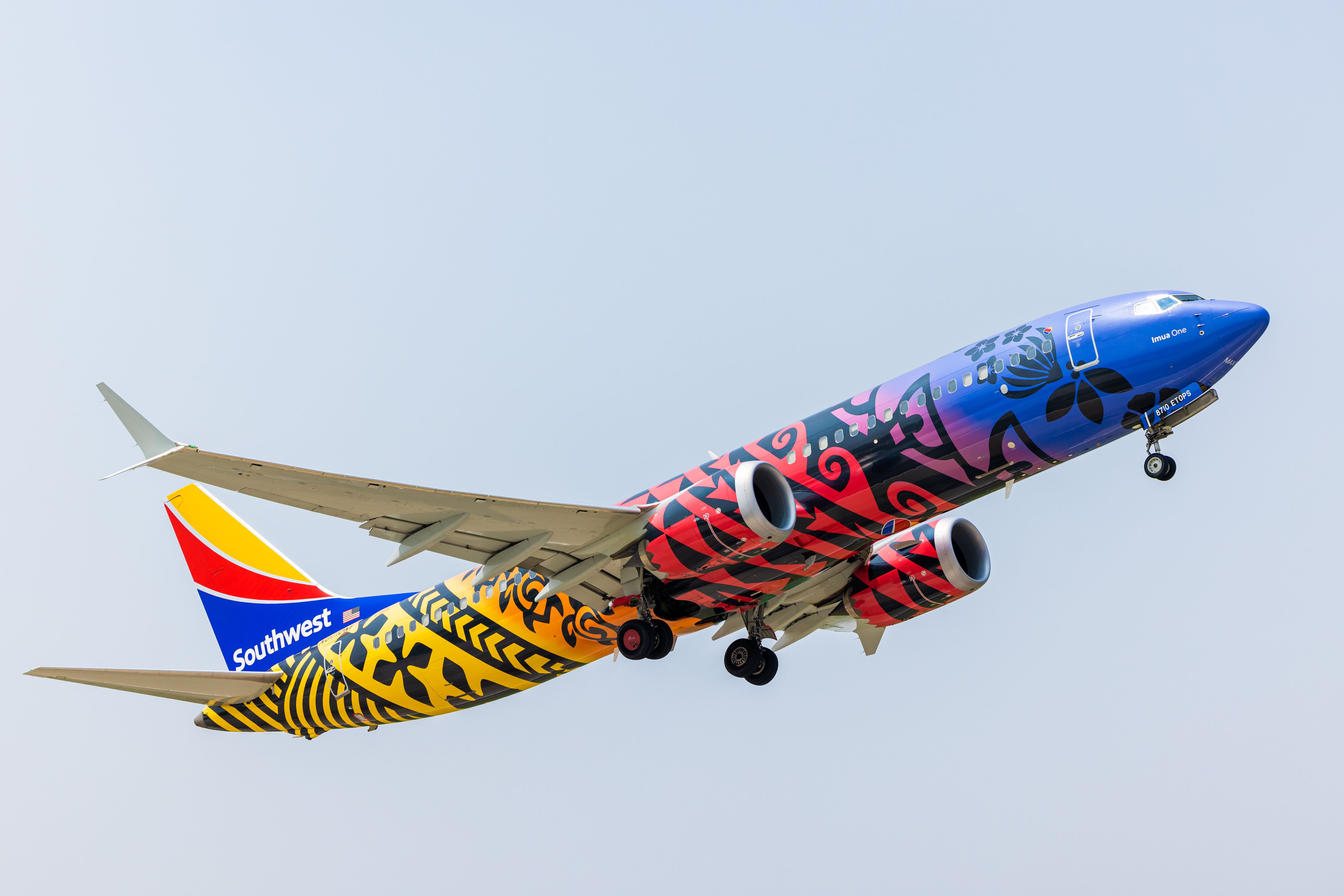 A Southwest Airlines Boeing 737 with a special livery flying in the sky.