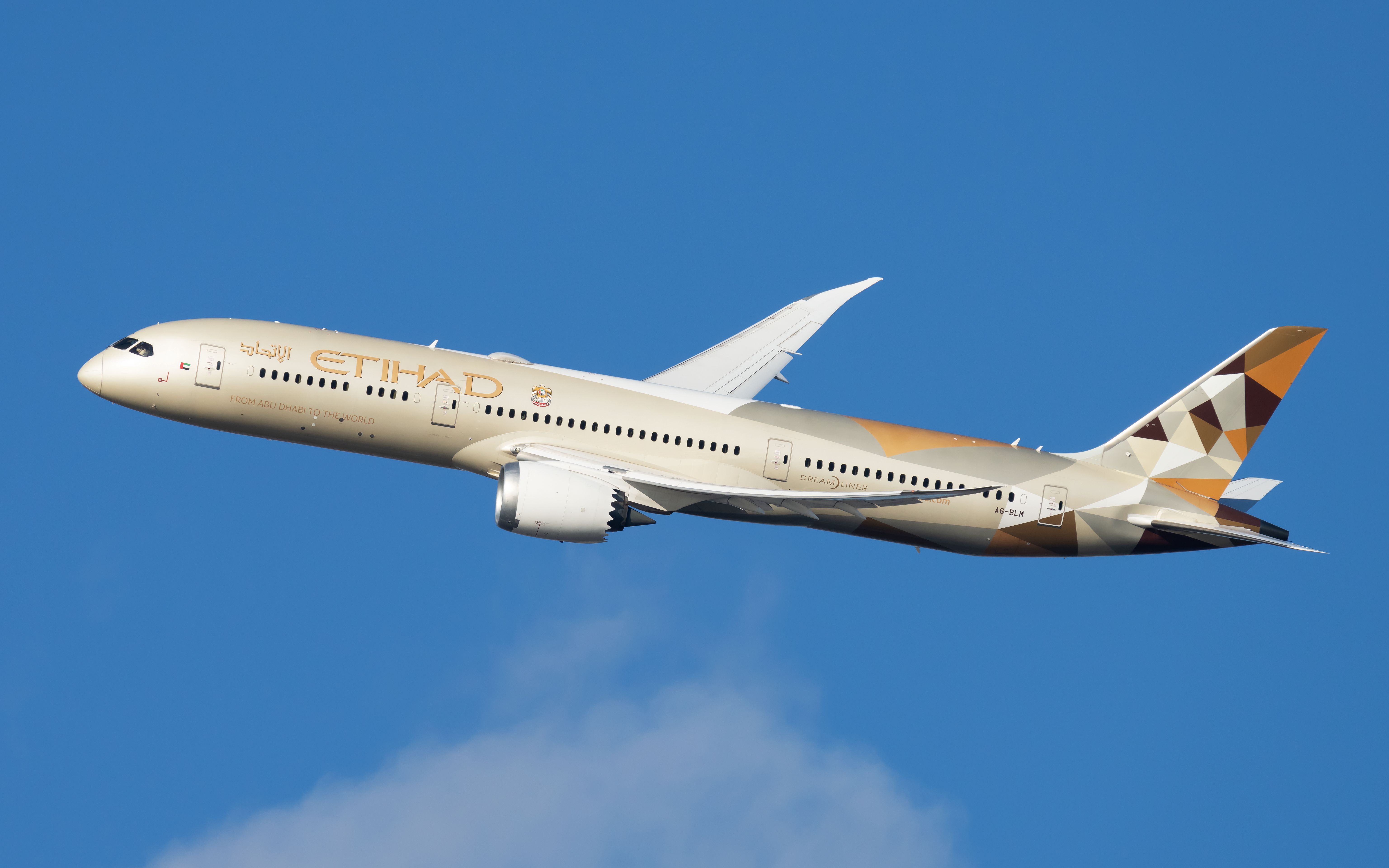 An Etihad Airways Boeing 787-9 Dreamliner flying in the sky.