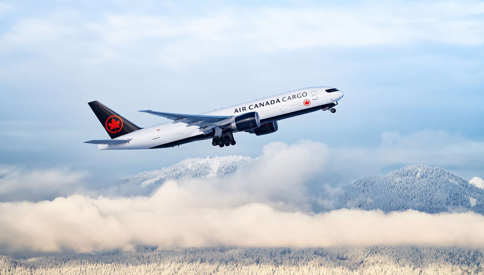 2/28 new! Air カナダ/ Boeing787 1/150 巨大
