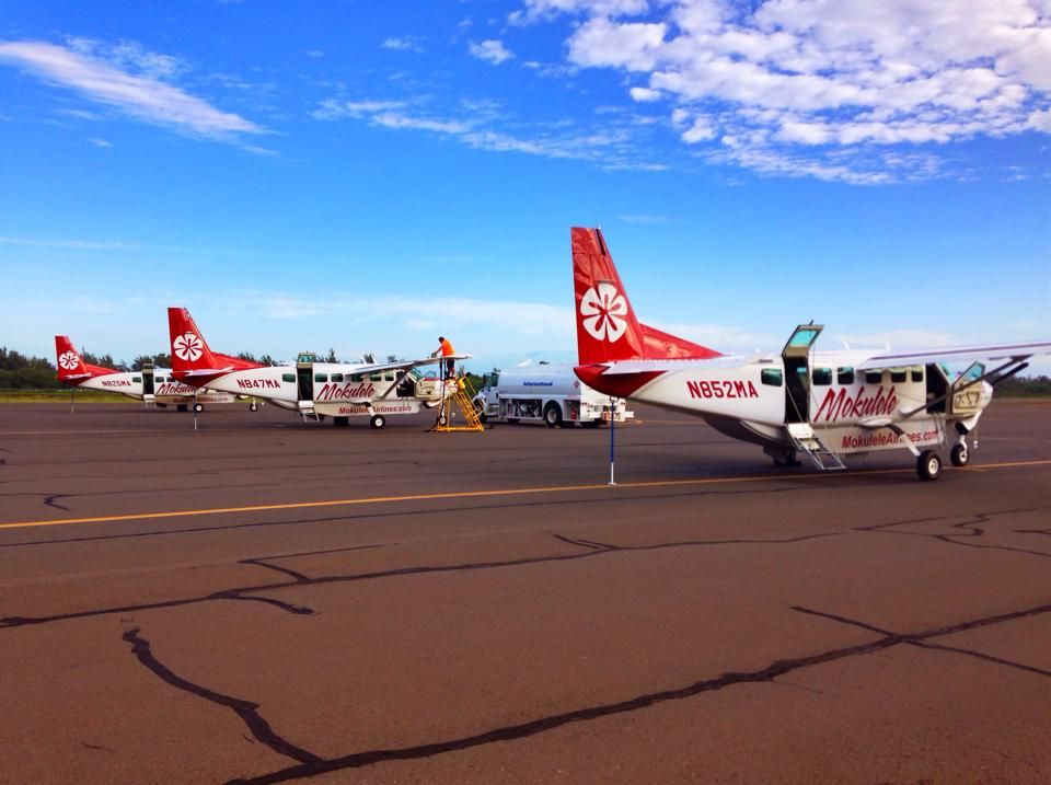 White Cessna Caravan aircraft with Mokulele Airlines livery parked on a taxiway with blue sky in the background