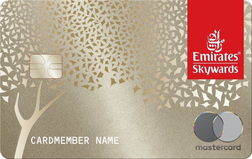 A screenshot of an Emirates Skywards Premium World Elite Mastercard.