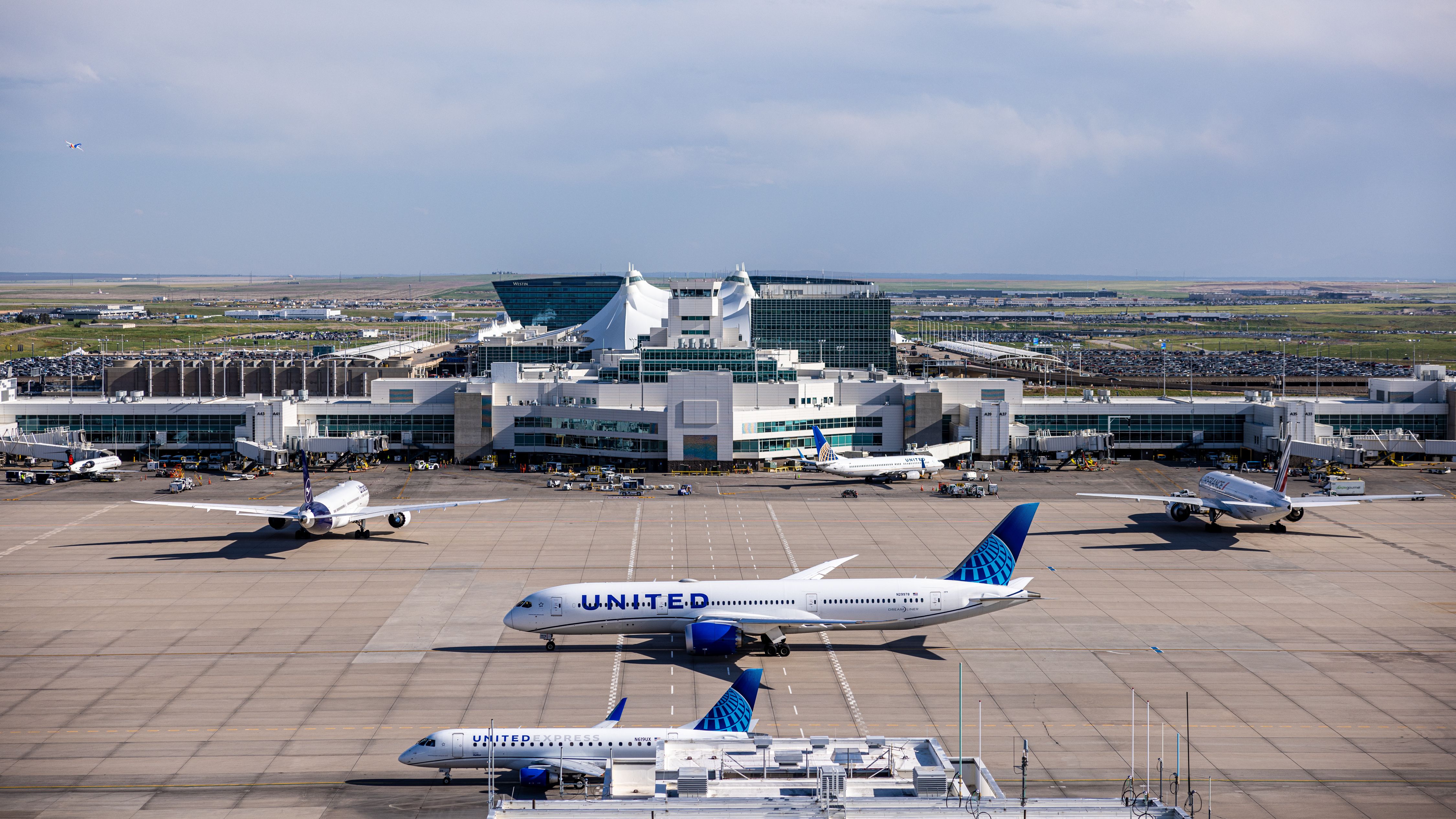 Multiple United Airlines aircraft parked on the airfield of Denver International Airport.