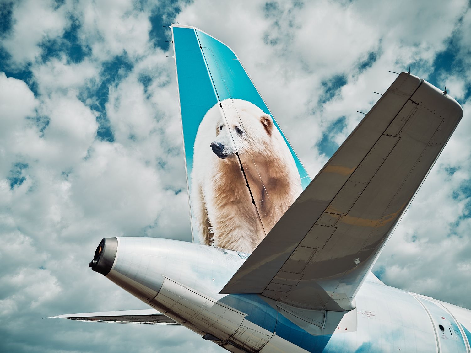 An Image of a polar bear on an aircrafts tail.