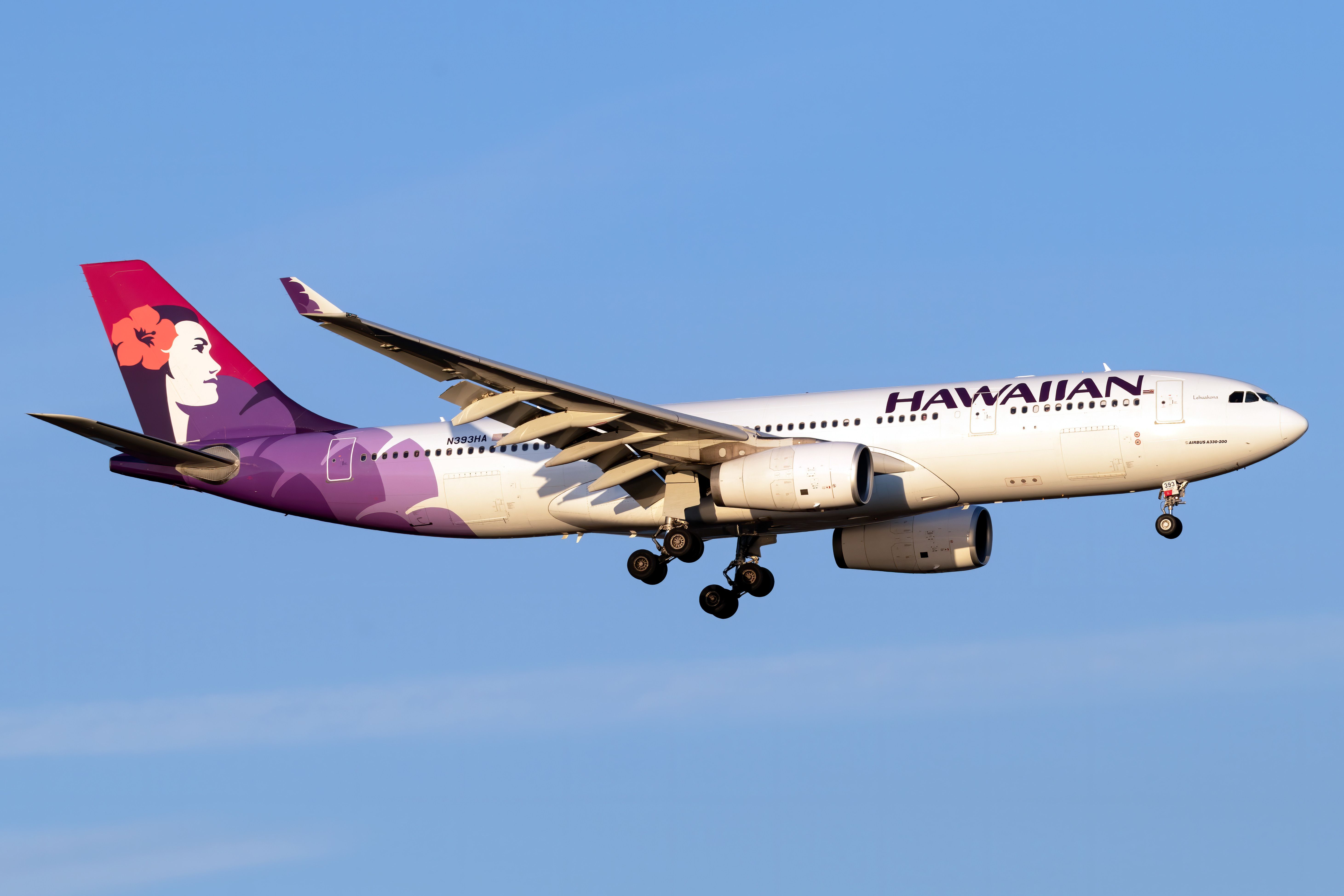 A Hawaiian Airbus A330-243 flying in the sky.