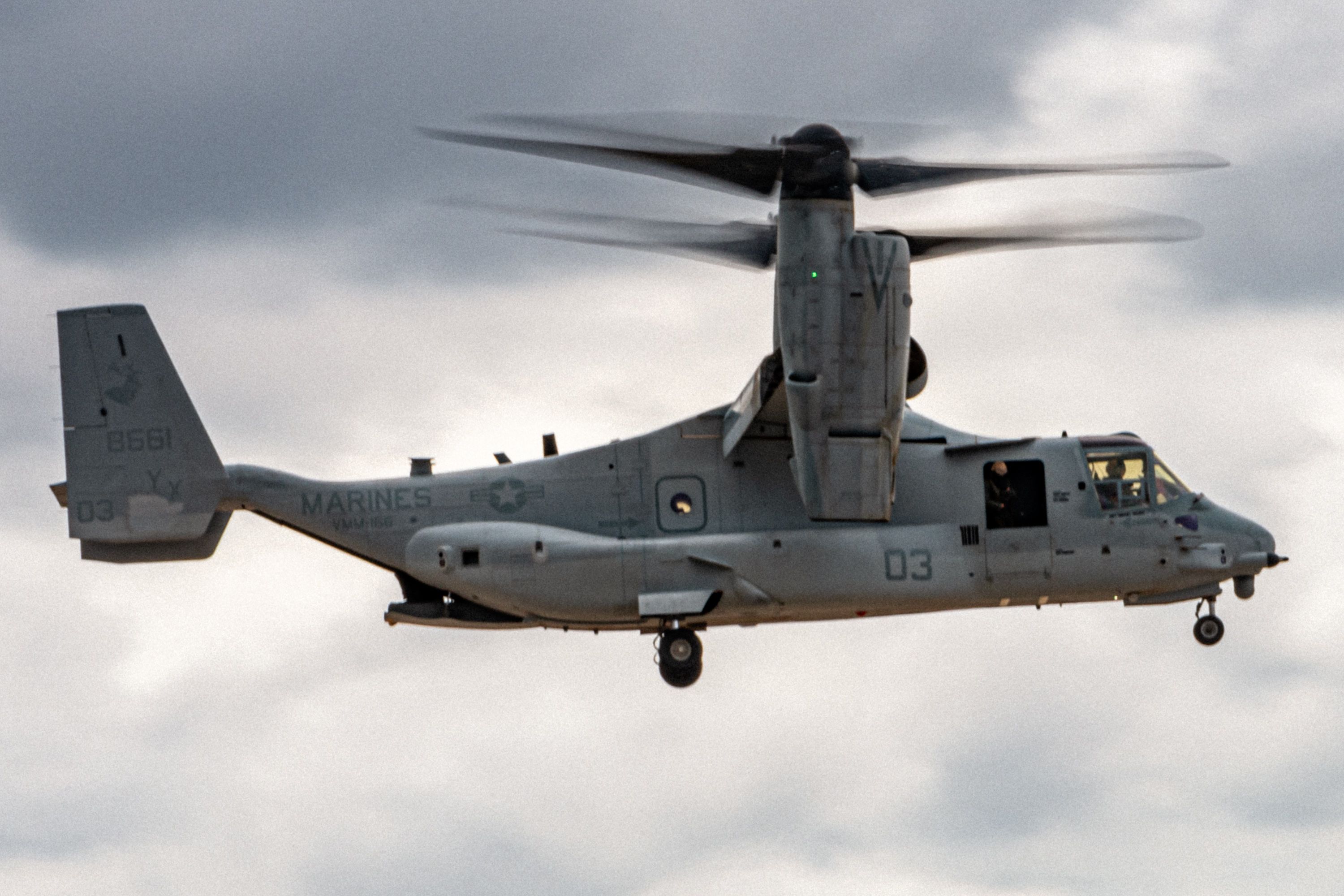 Ospreys Are Grounded Around The World: Will They Come Back?