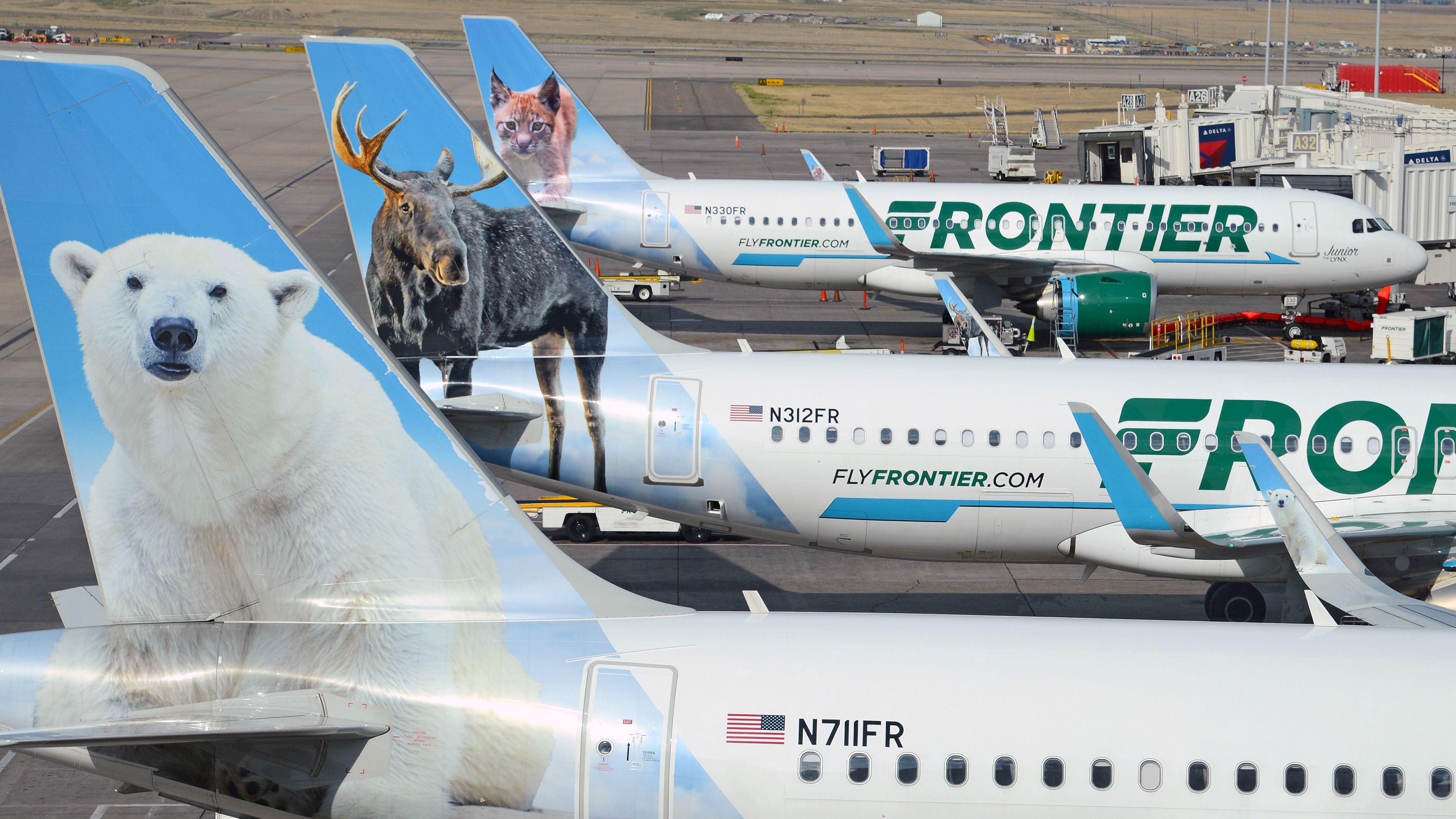 Several Frontier Airlines aircraft lined up.
