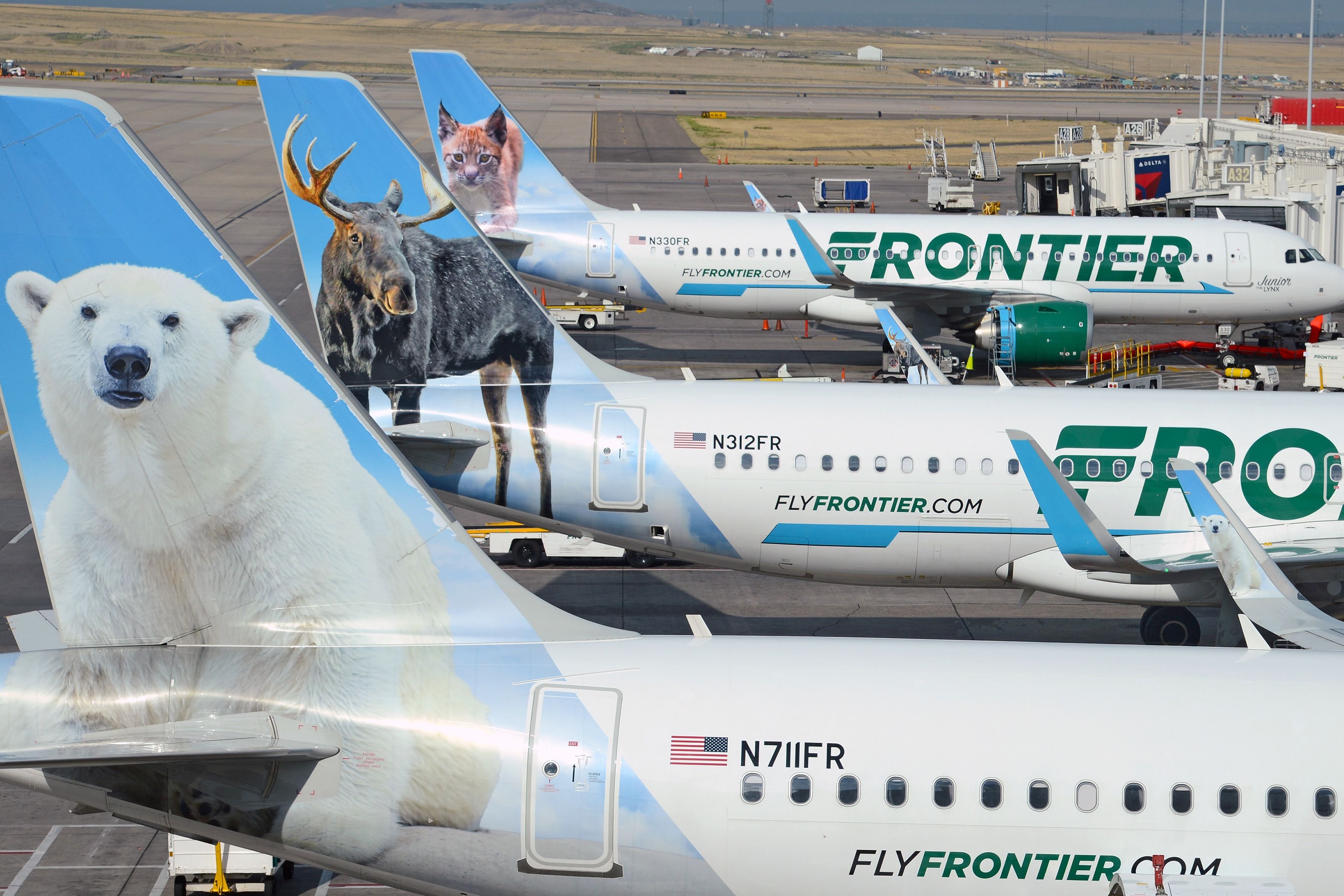 Frontier Airlines aircraft lined up
