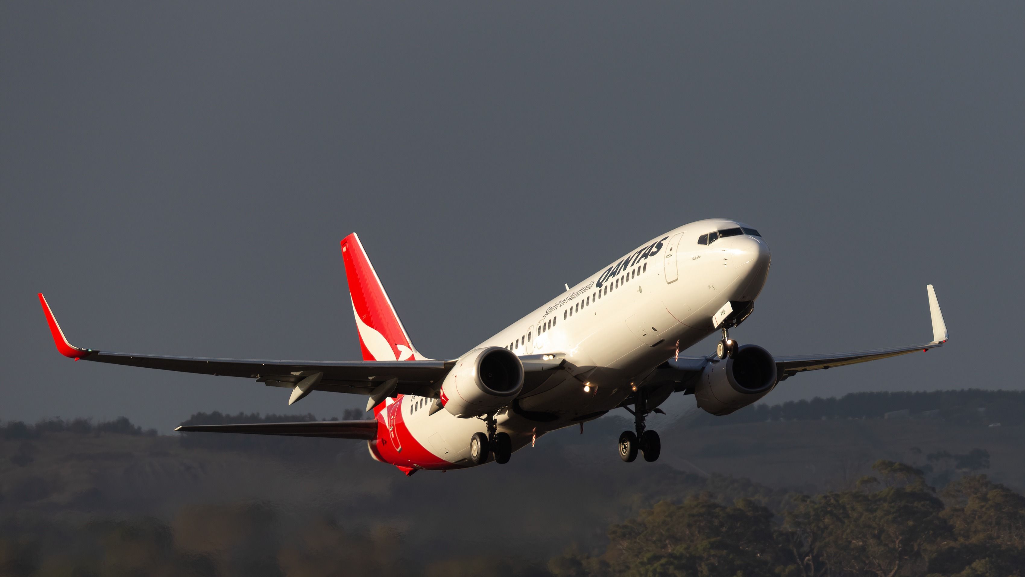 A Qantas Boeing 737 taking off