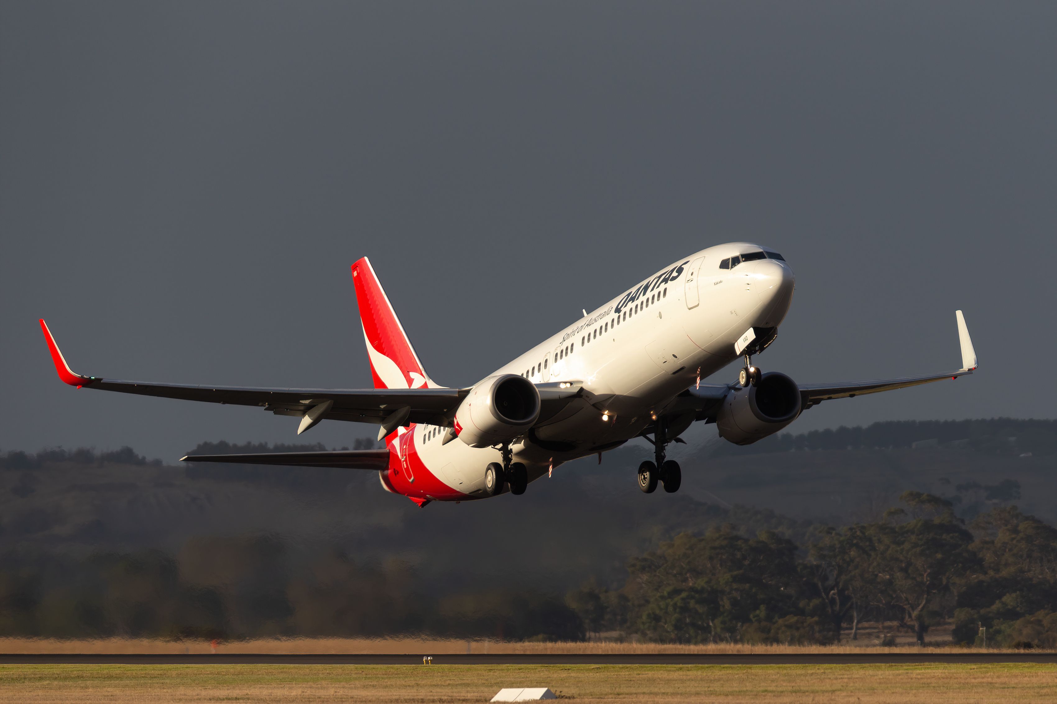 A Qantas Boeing 737-800 just after take off.