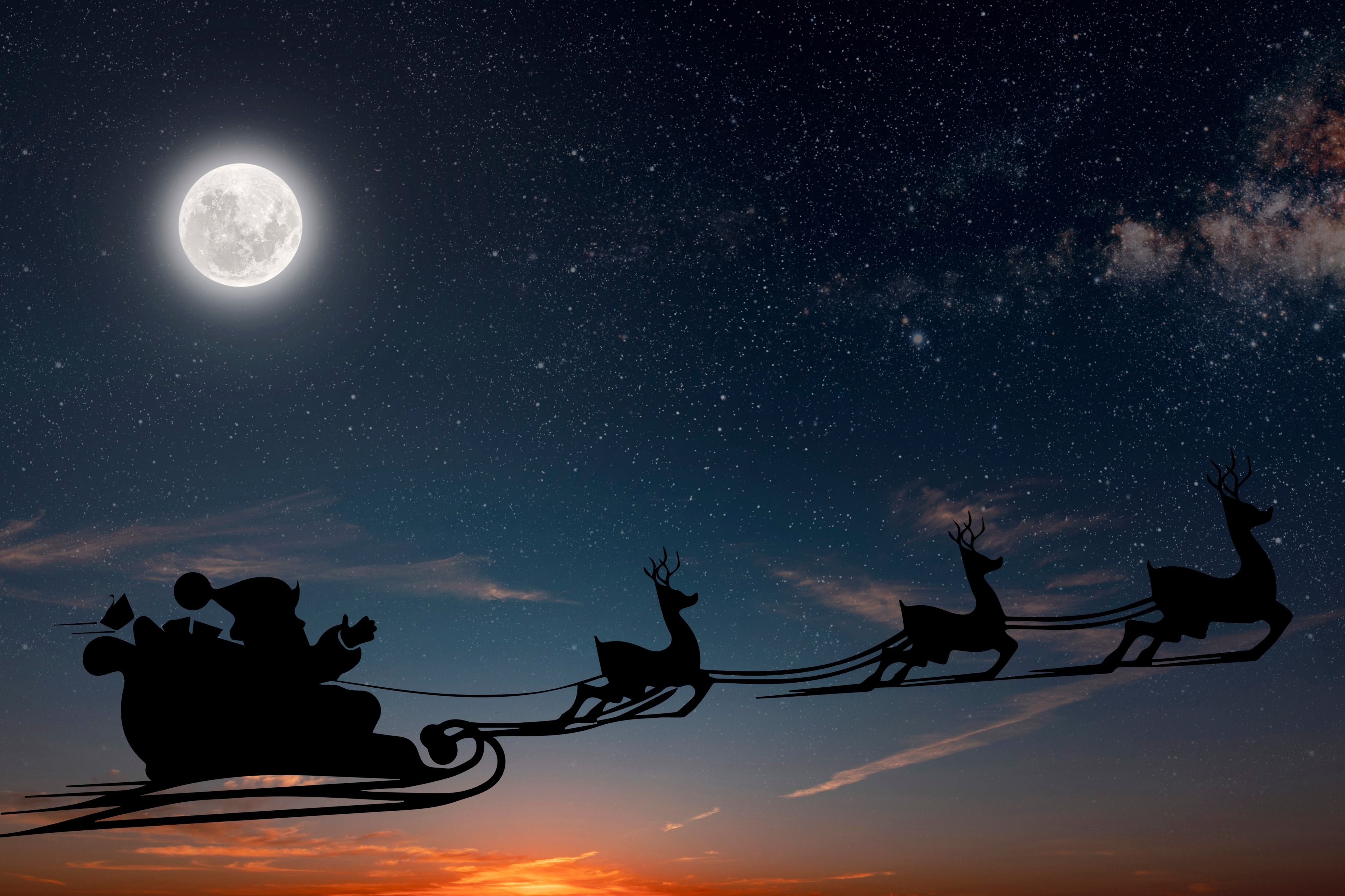Flying reindeer