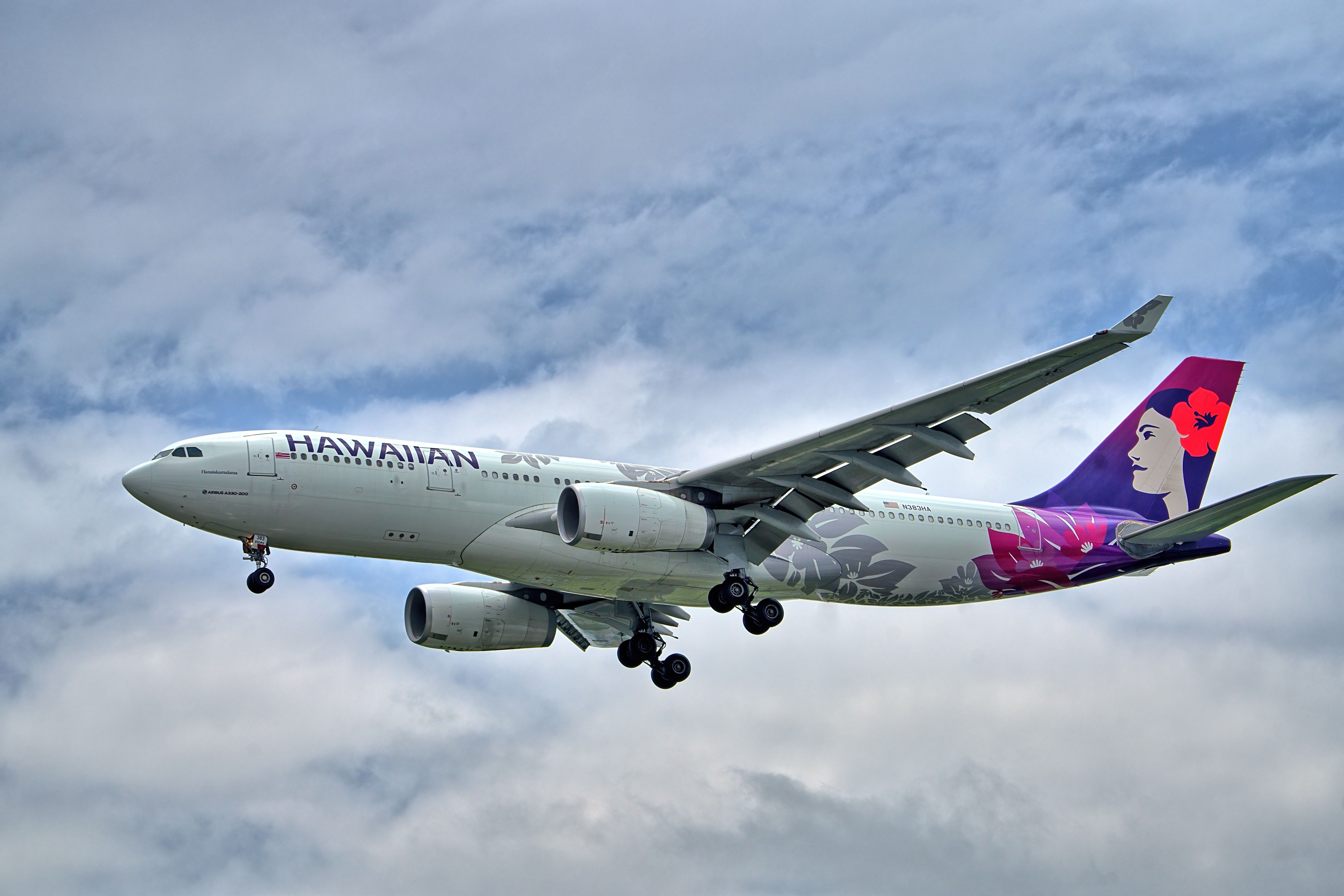 A Hawaiian Airlines Airbus A330 Flying in the sky.